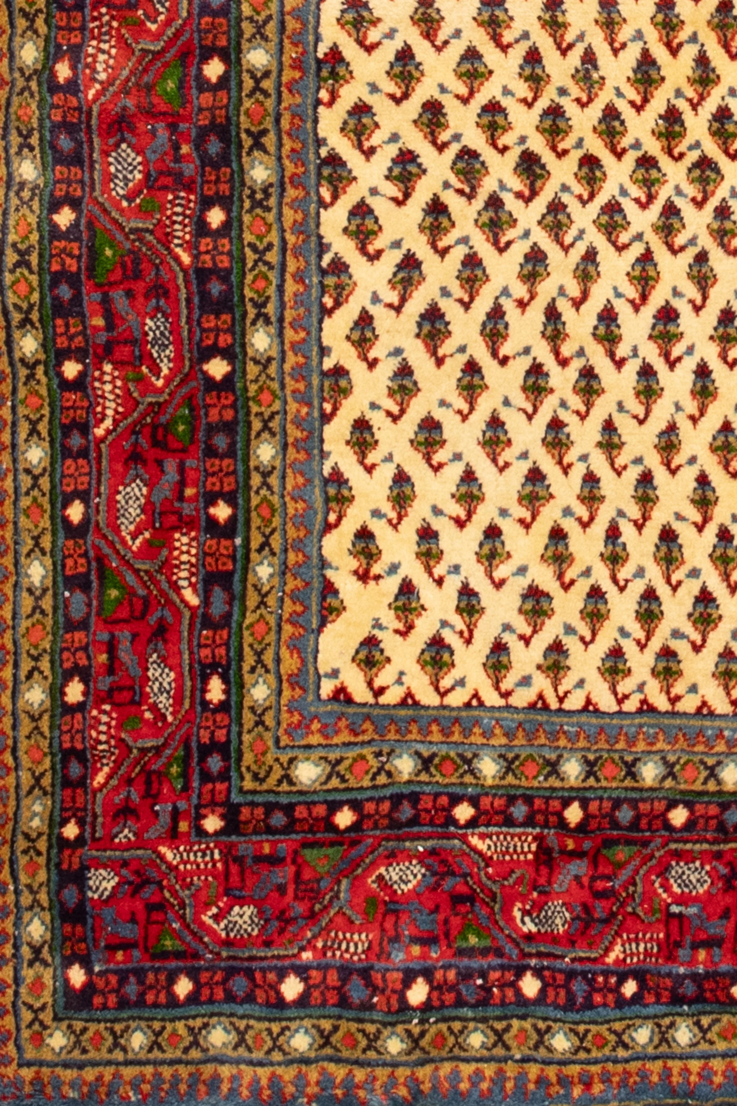 R0188_250x210-1.jpg