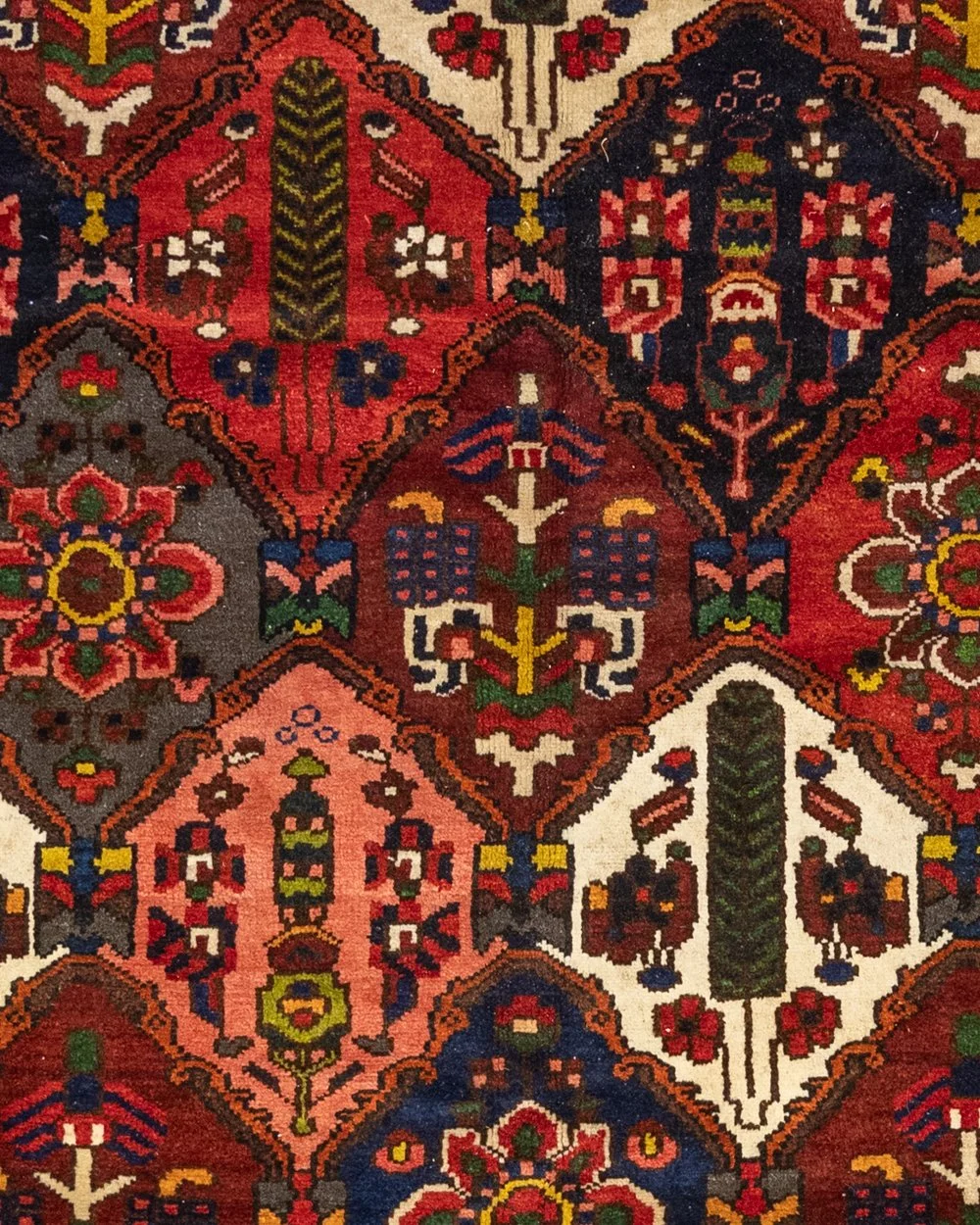 Bakhtiari Garden rug in brown, red, peach and sage, 350 × 220 cm