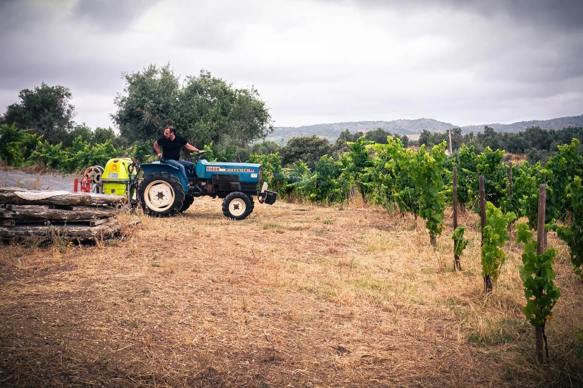 Hamilton Reyes, owner of Natus Vini, on his estate in Vidigueira