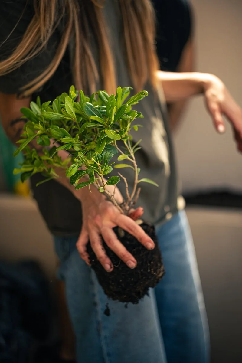 Claire de Fraiteur, founder of Janvier Plants & design, holding a plant during an installation on a balcony in Lisbon