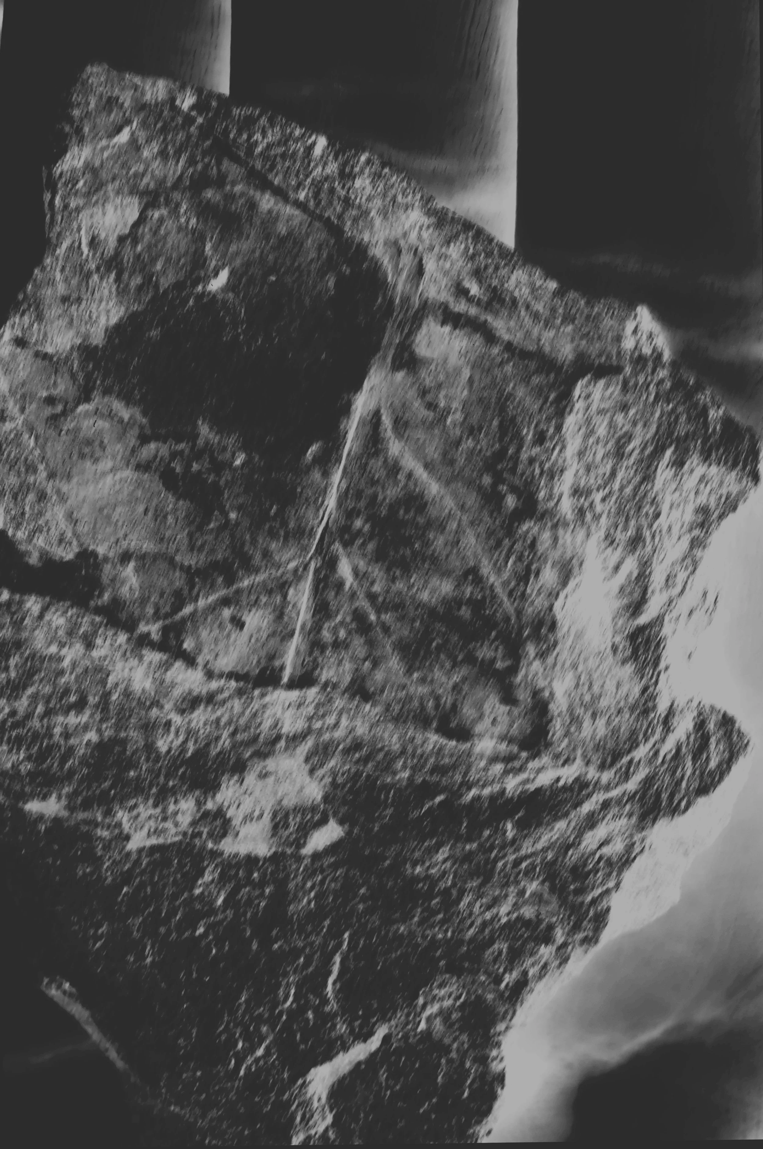 ducment of a leaf3.jpg