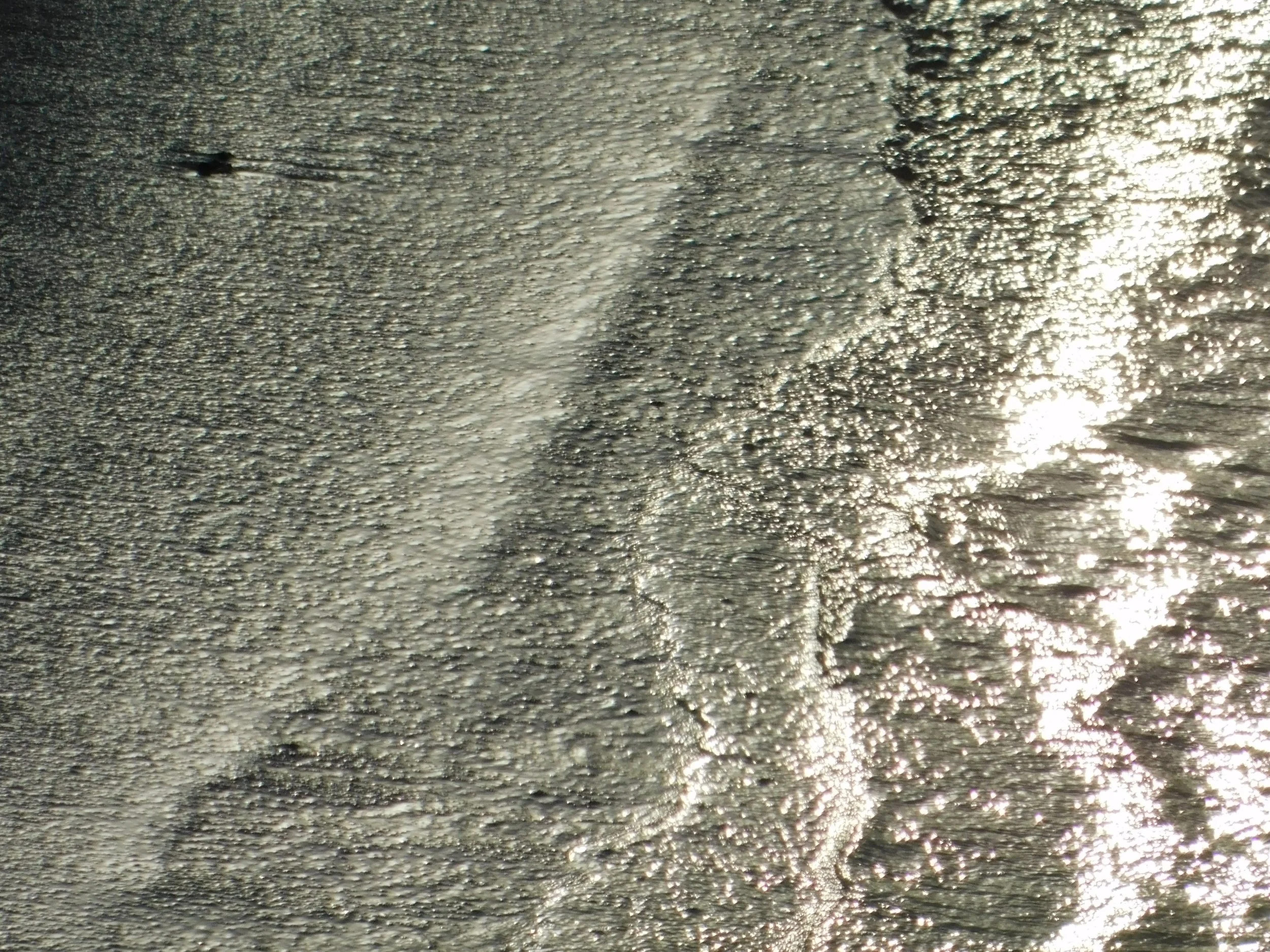DSCN0197.JPG