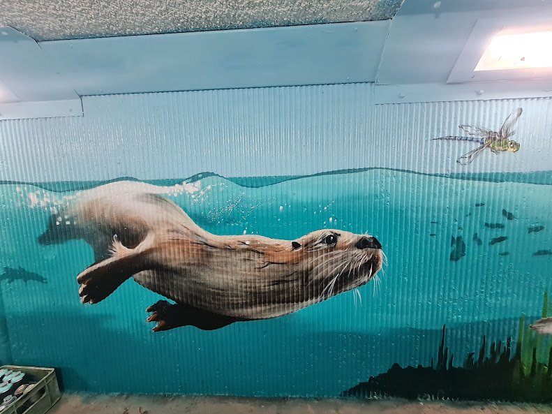 otter.jpg