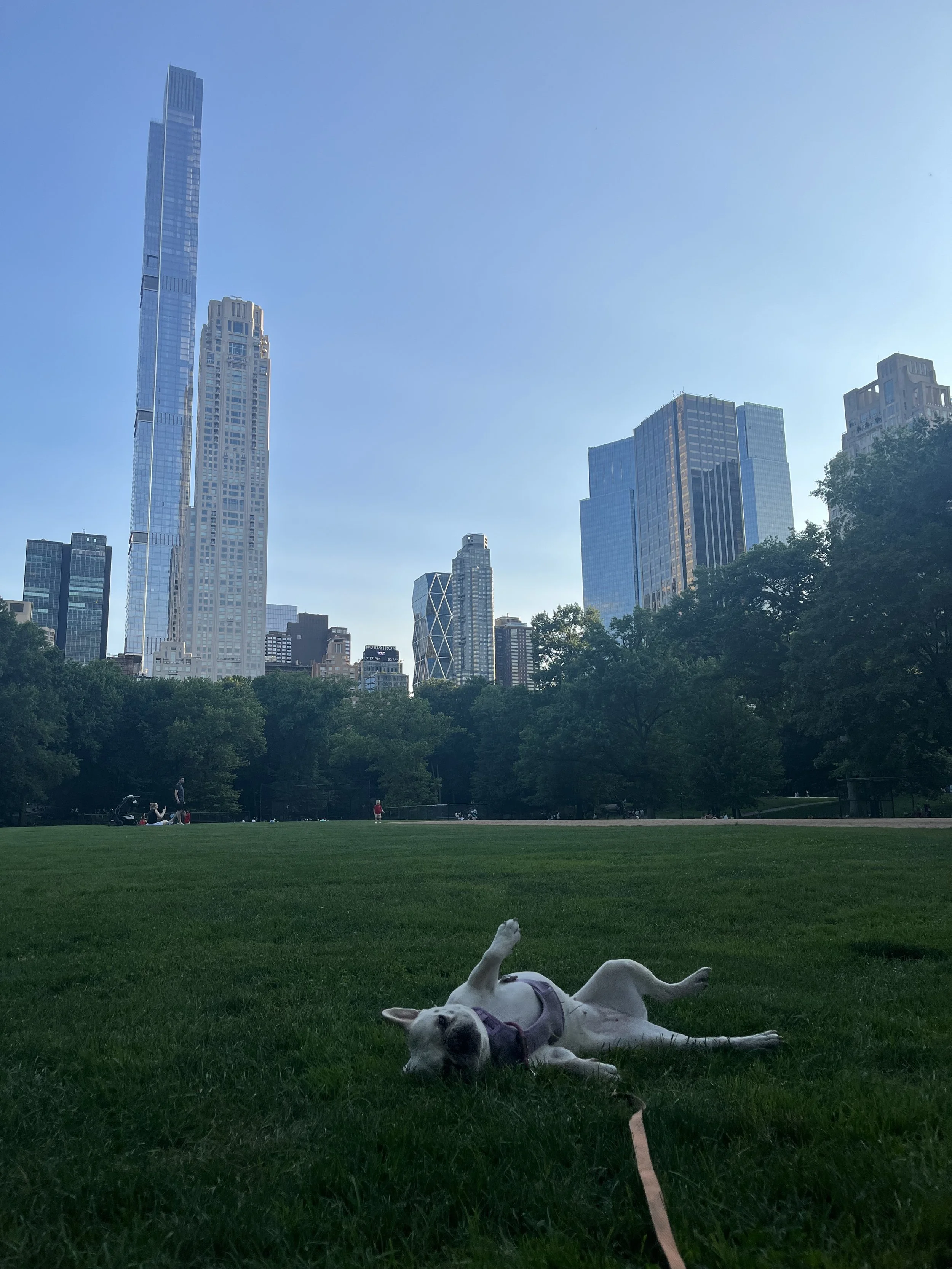 IMG_0670.jpeg