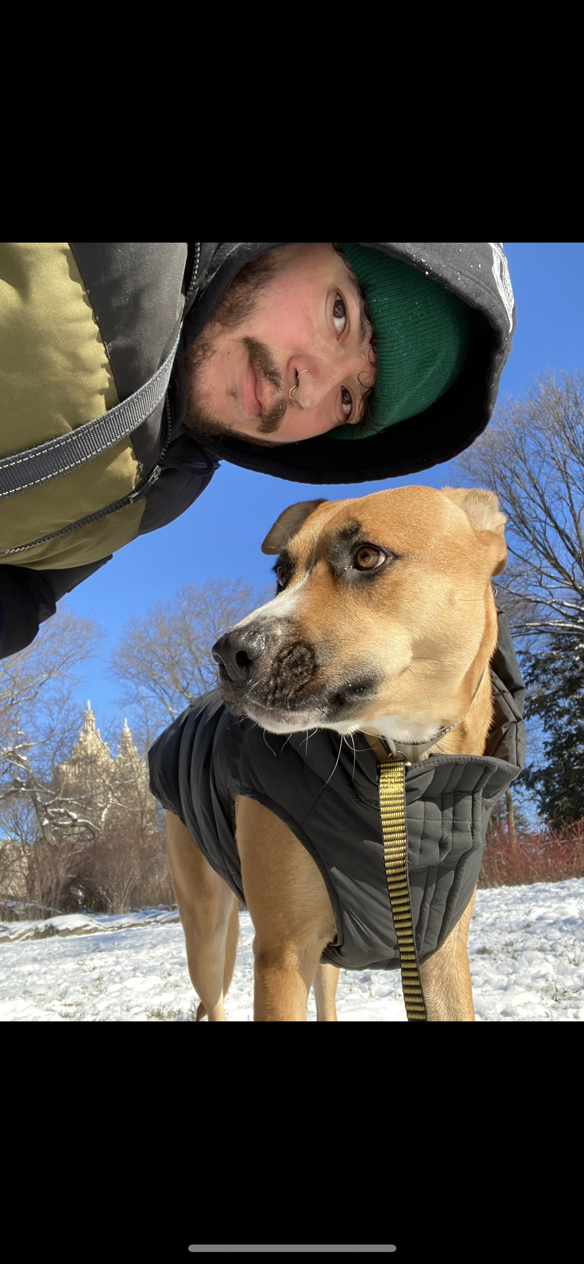 Private Dog Training