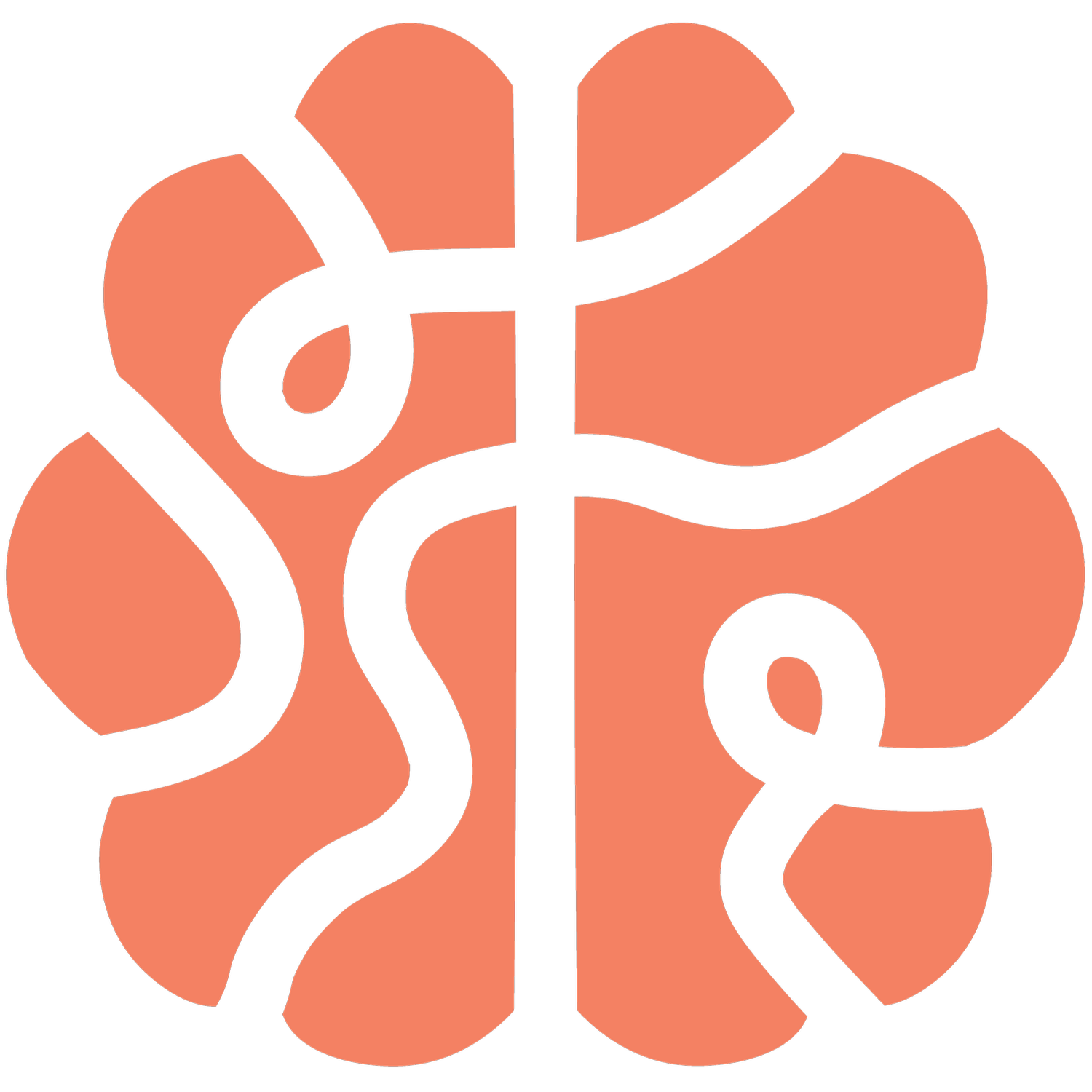 Kaaoskoordinaattori
