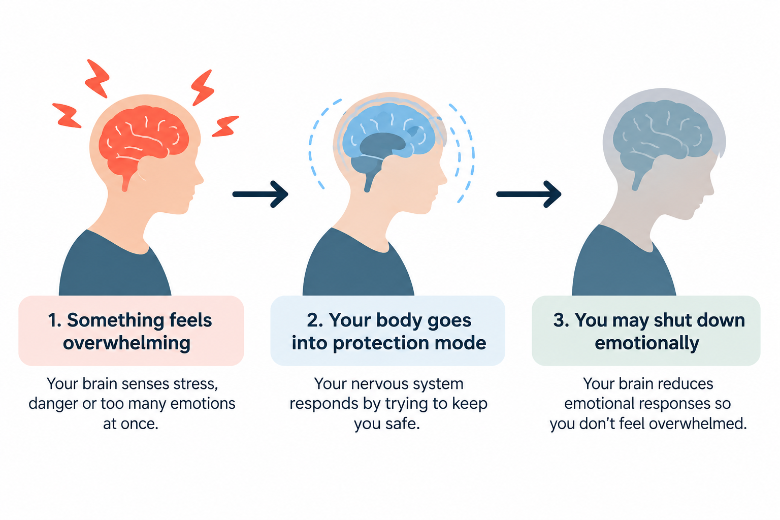 Simple three-step infographic showing how overwhelming stress can trigger the nervous system's protective response, sometimes leading to emotional shutdown, numbness and withdrawal.