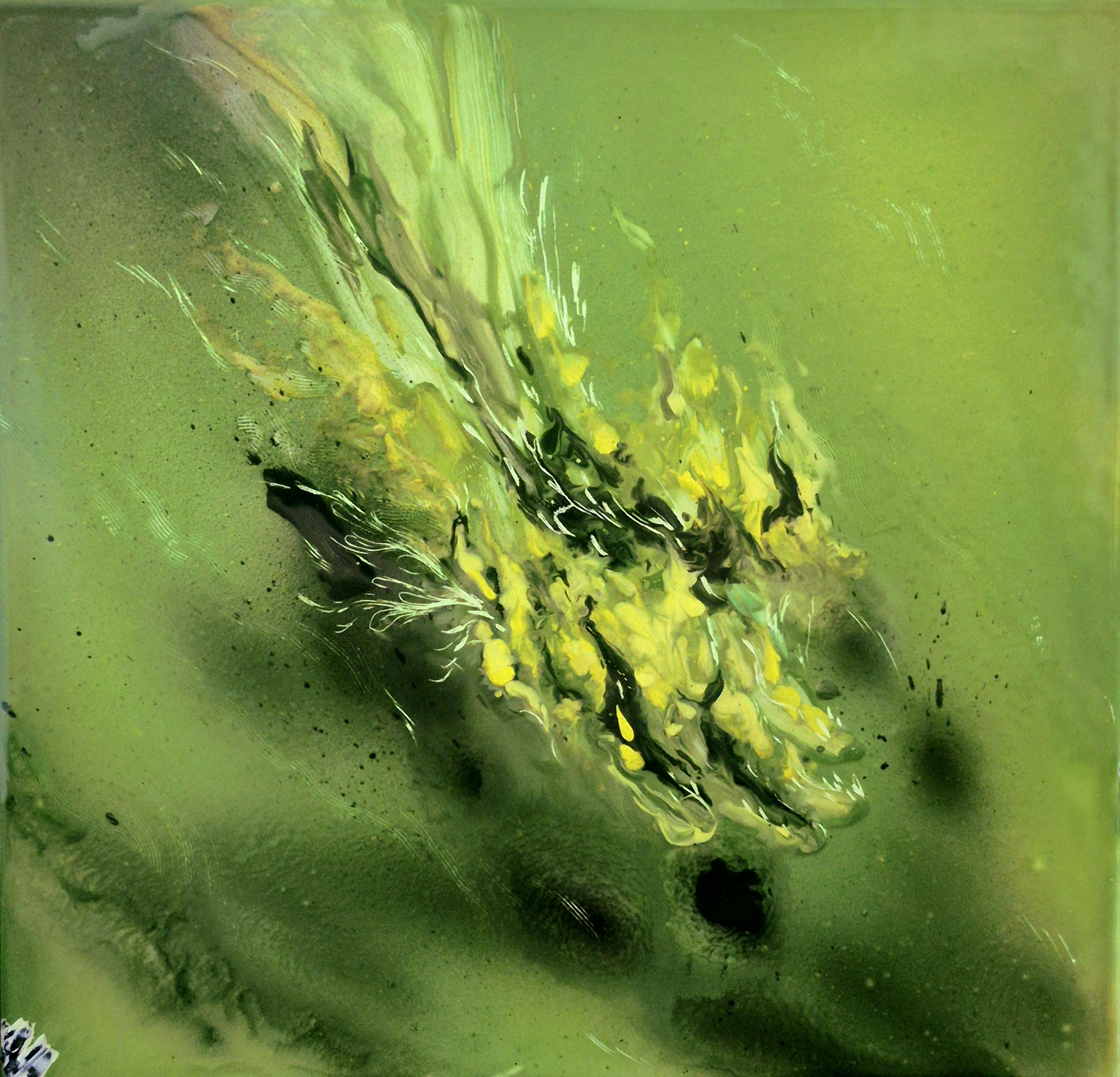 FLAIR,2026,Enamel fine art, Dorota Kaustová, in private collection