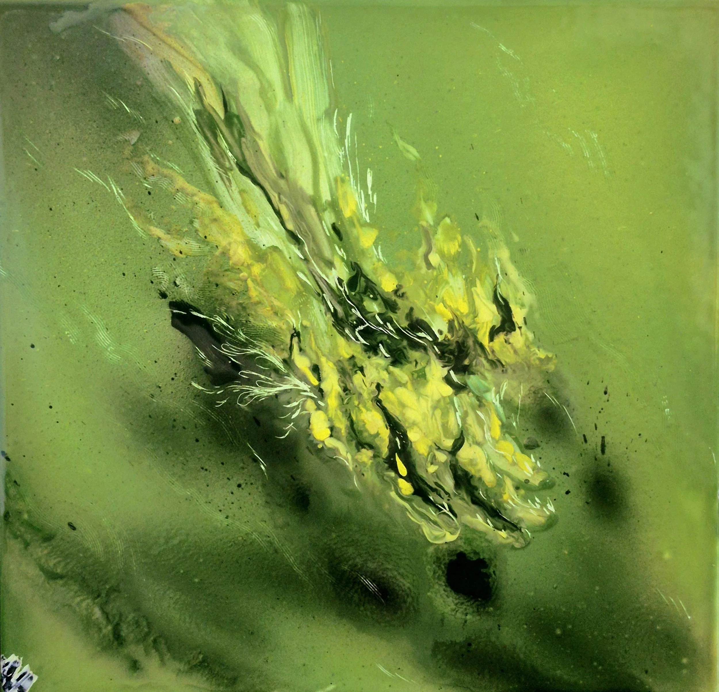 FLAIR 02,2026,Enamel fine art, Dorota Kaustová, in private collection