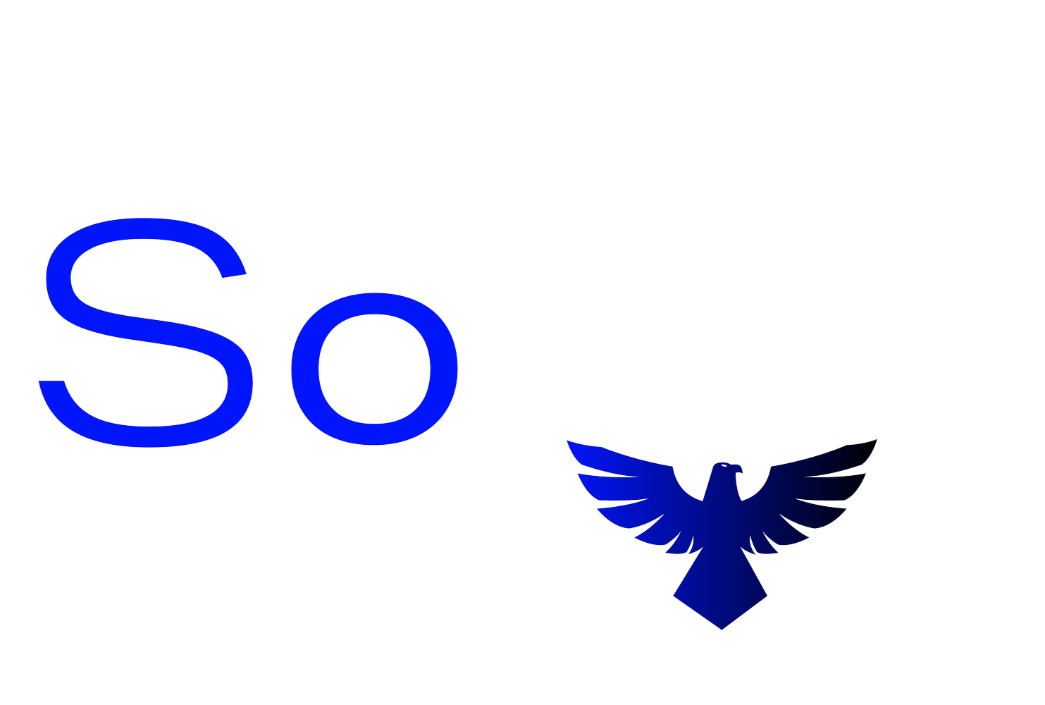 SoCo Security &amp; Investigations