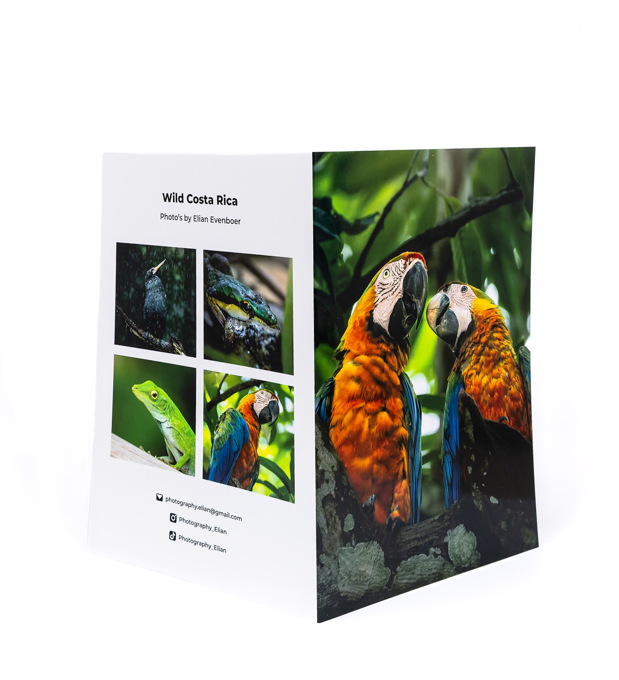 EEVE-26090001.jpg