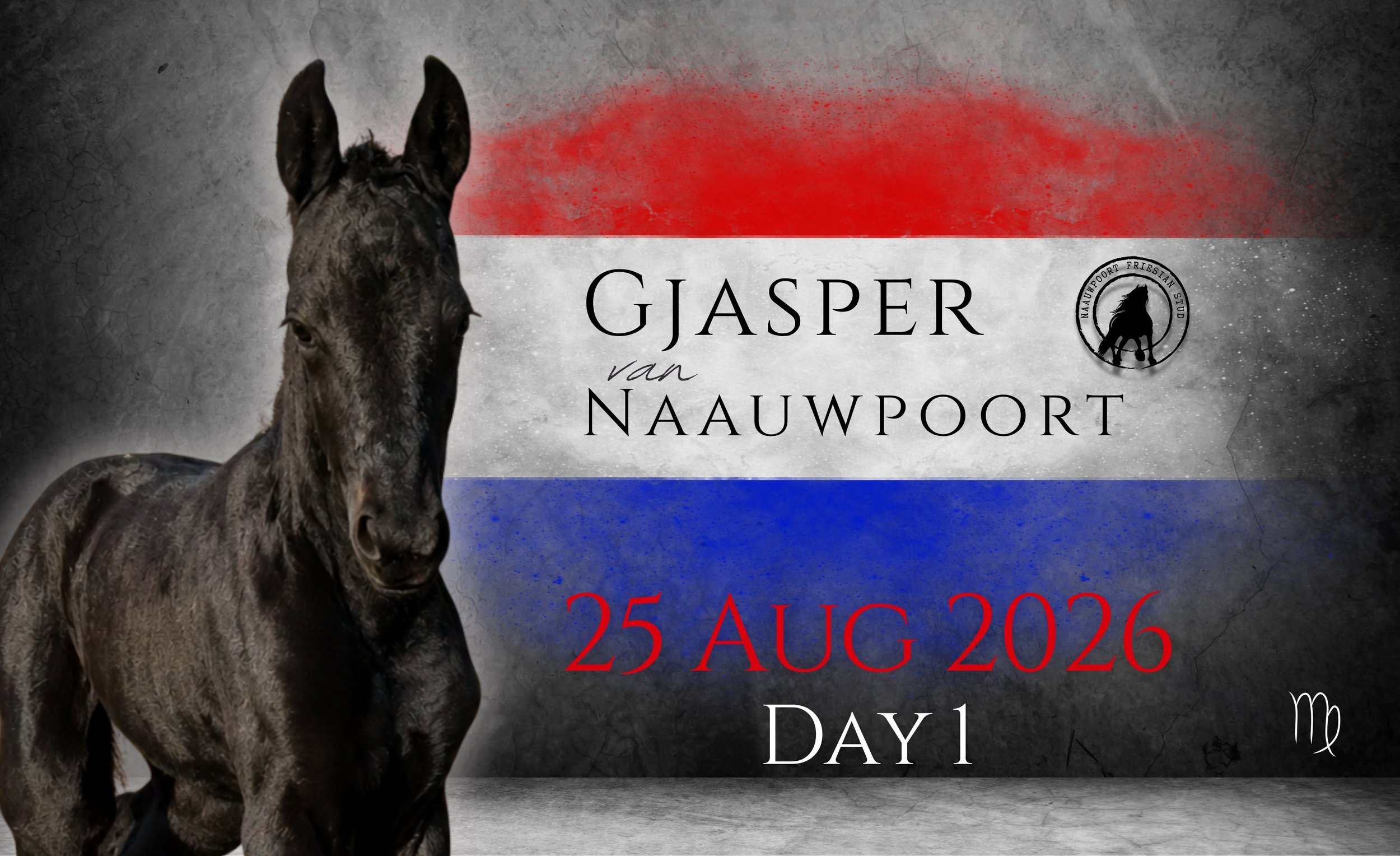 Gjasper van Naauwpoort