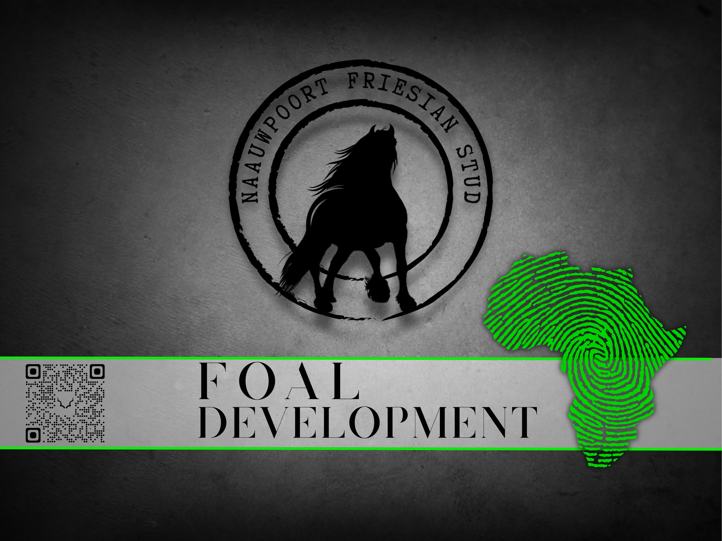 Foal development SOS Check list Development fun facts horses Mare stages of pregnancy