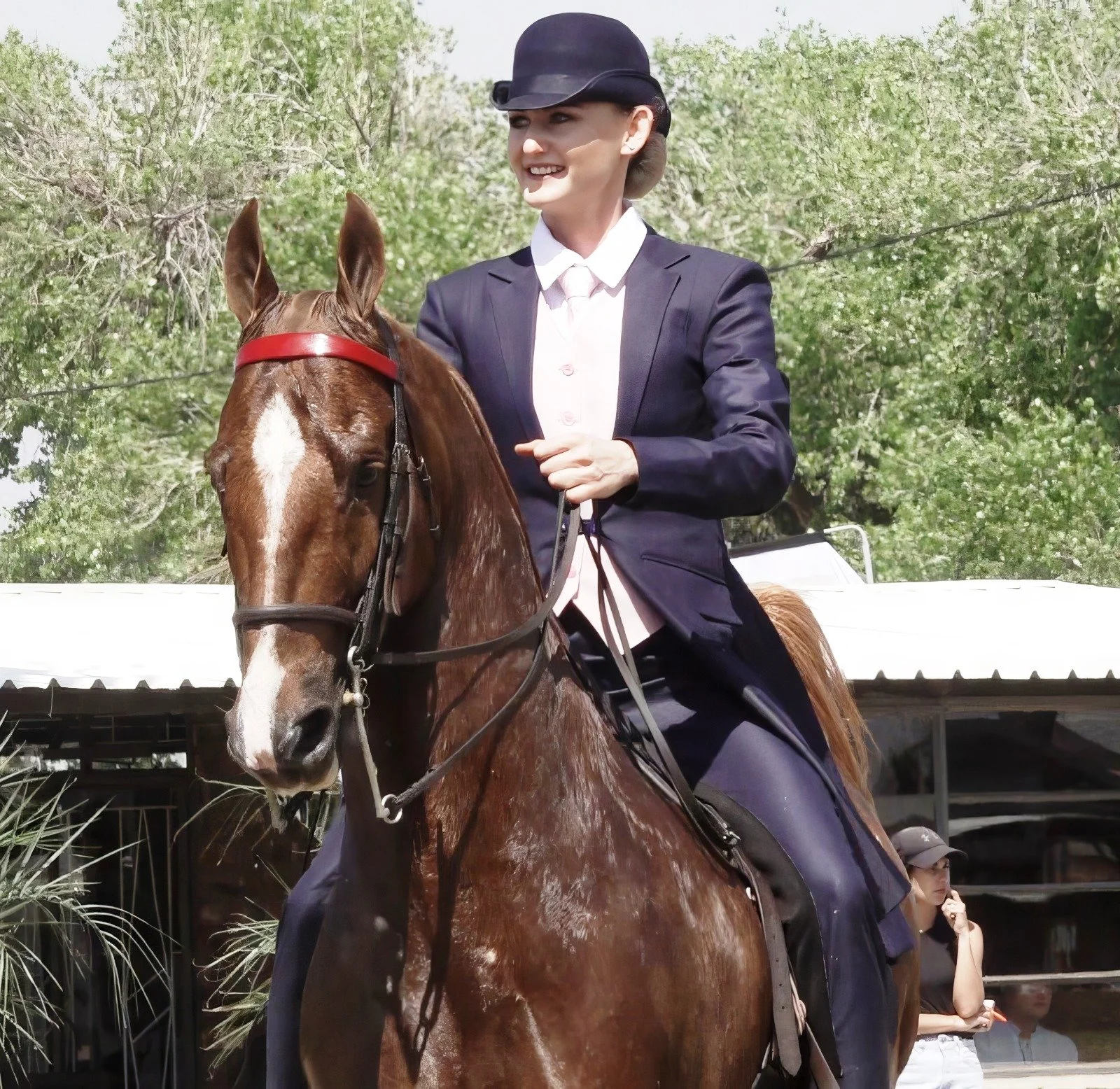 Saalperd & Friesperd Streekskou Magogong,,Vaalharts Pekanfees - Dirkie McKenzie - Corlien Becker ,Braam Lochner, Poy Coetzee, Marius van Rooyen, Beoordelaars Location MAGOGONG skougronde ,Horse show Hartswater/ PerdeskouVaalharts Captain Hollywood