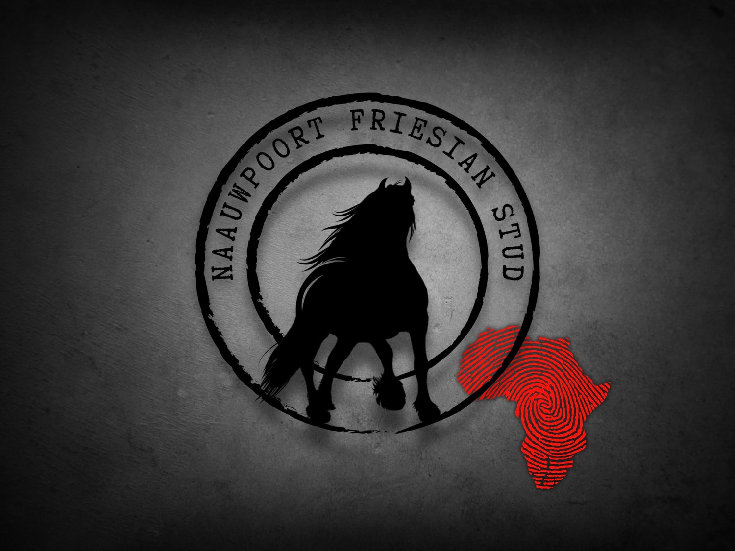 NAAUWPOORT FRIESIAN STUD