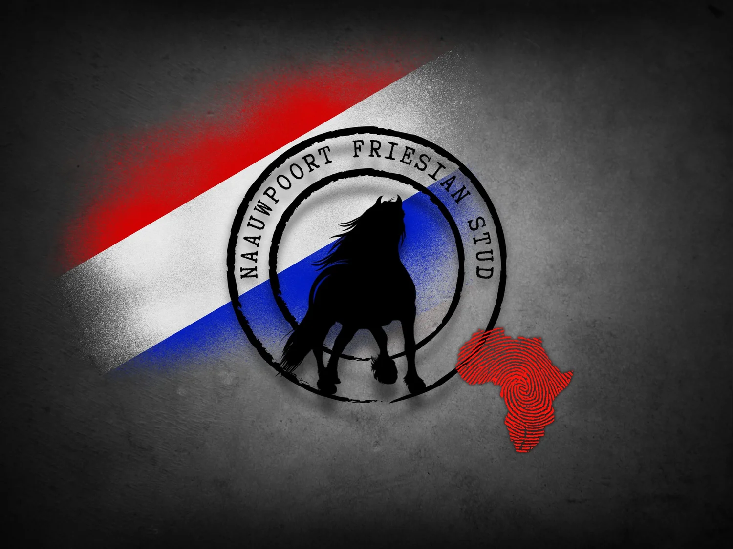 NAAUWPOORT FRIESIAN STUD