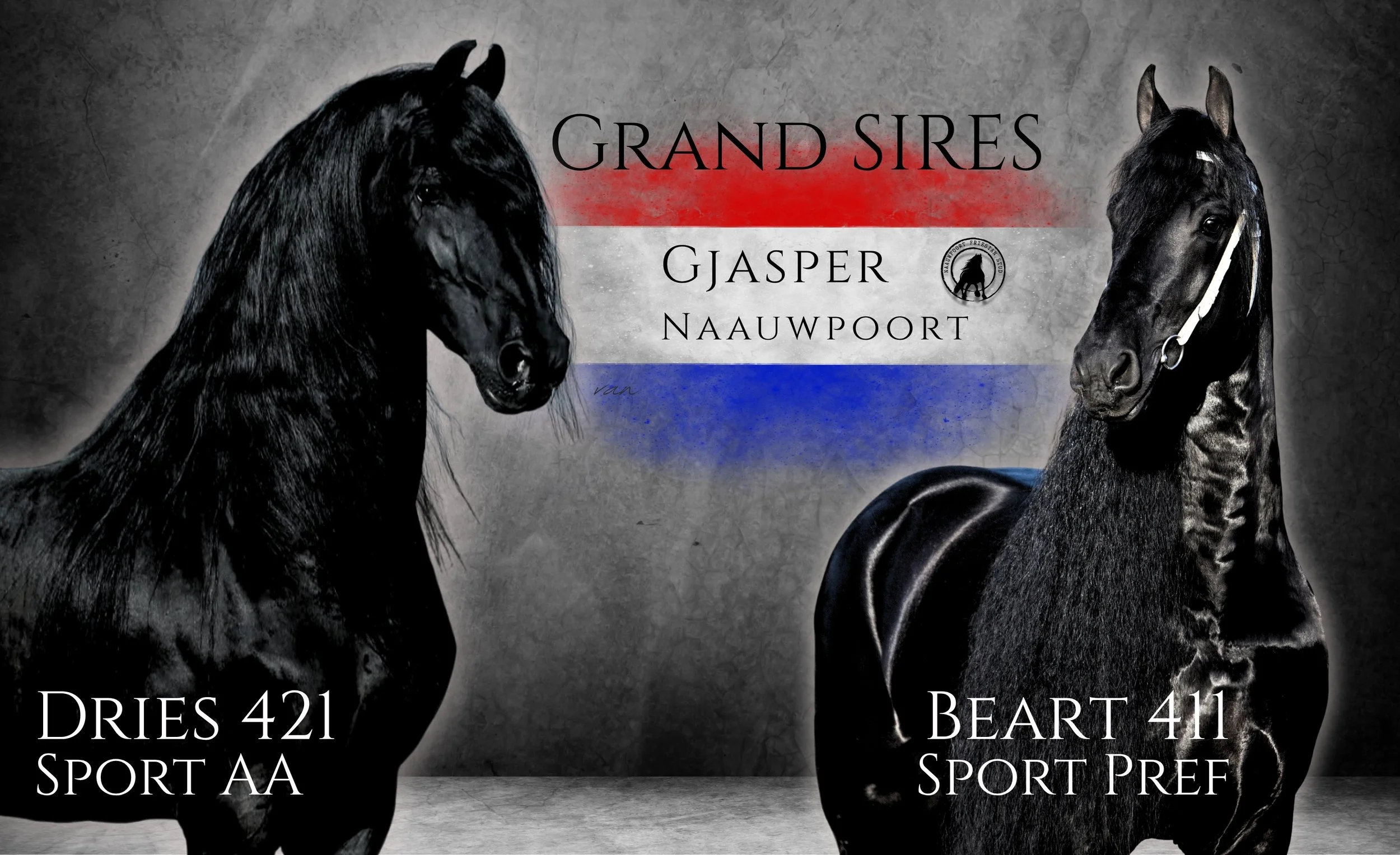 Grand Sires of GJasper Nauwpoort'