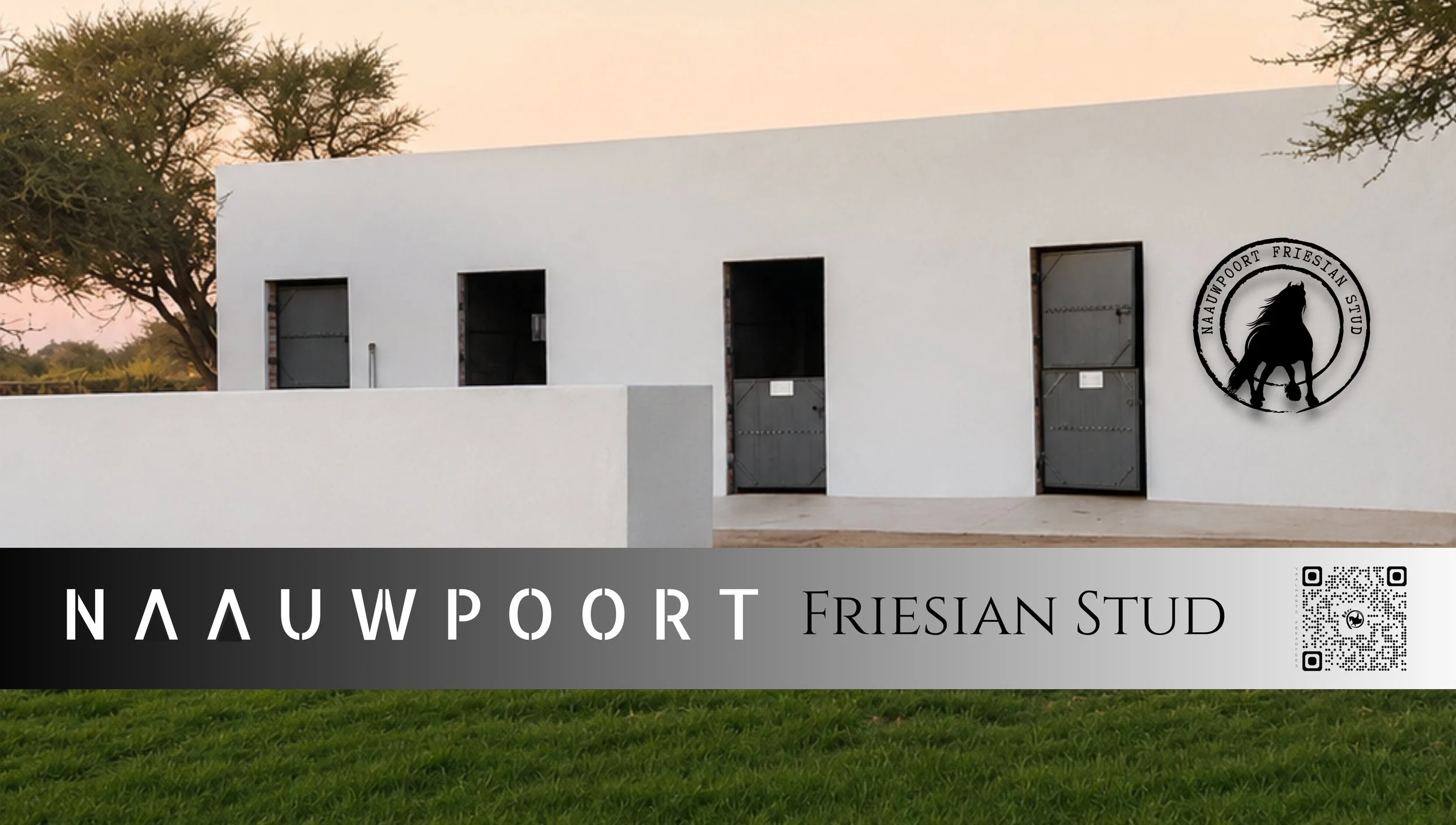 Naauwpoort Friesian Stud Hartswater Noord-Kaap