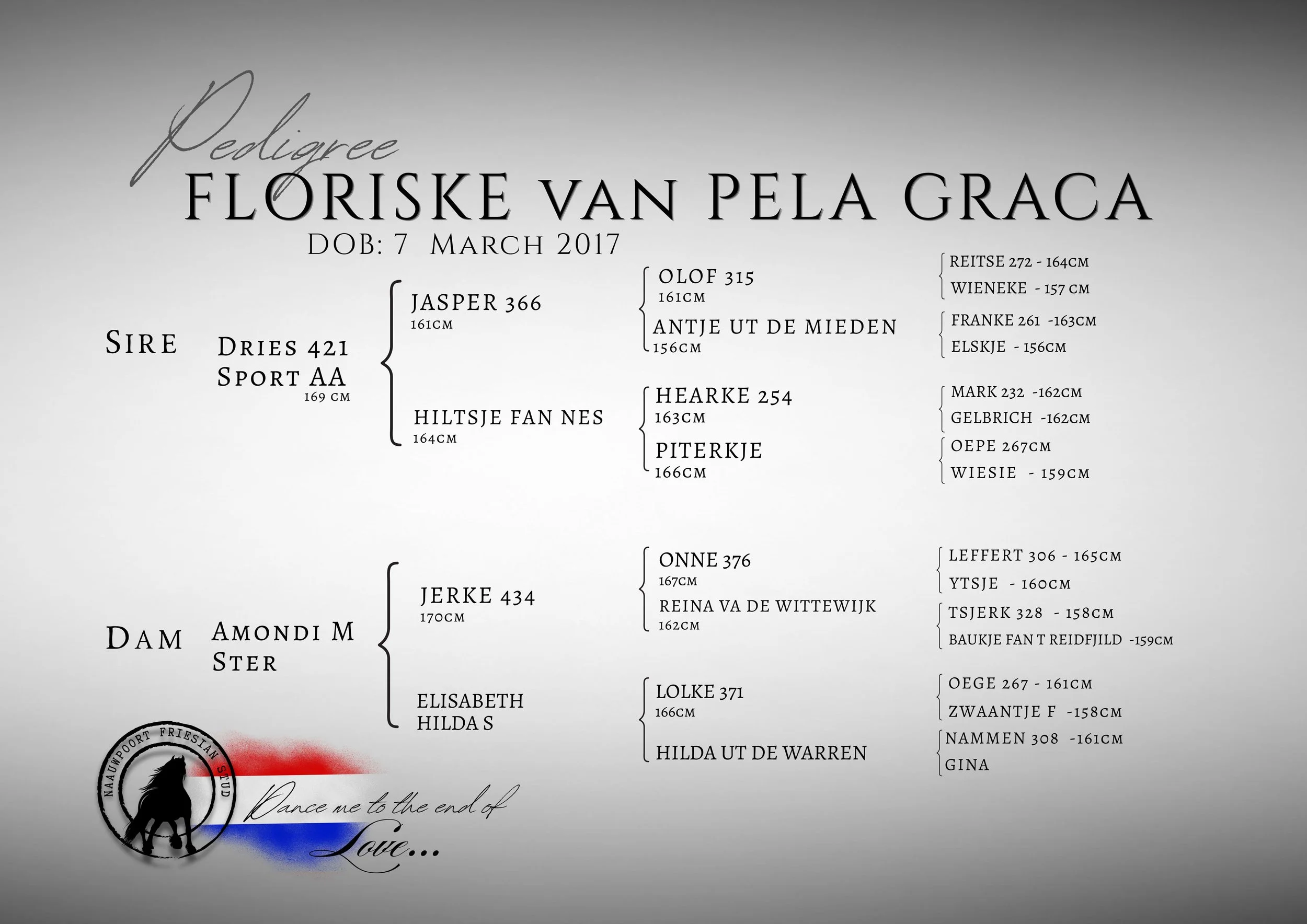 Pedigree Floriske van Pela Graca  Friesian Horses Logo Naauwpoort Friesian Stud Owner: Corlien Becker  & Willie Buys Hartswater Noord-Kaap Friesperd teler