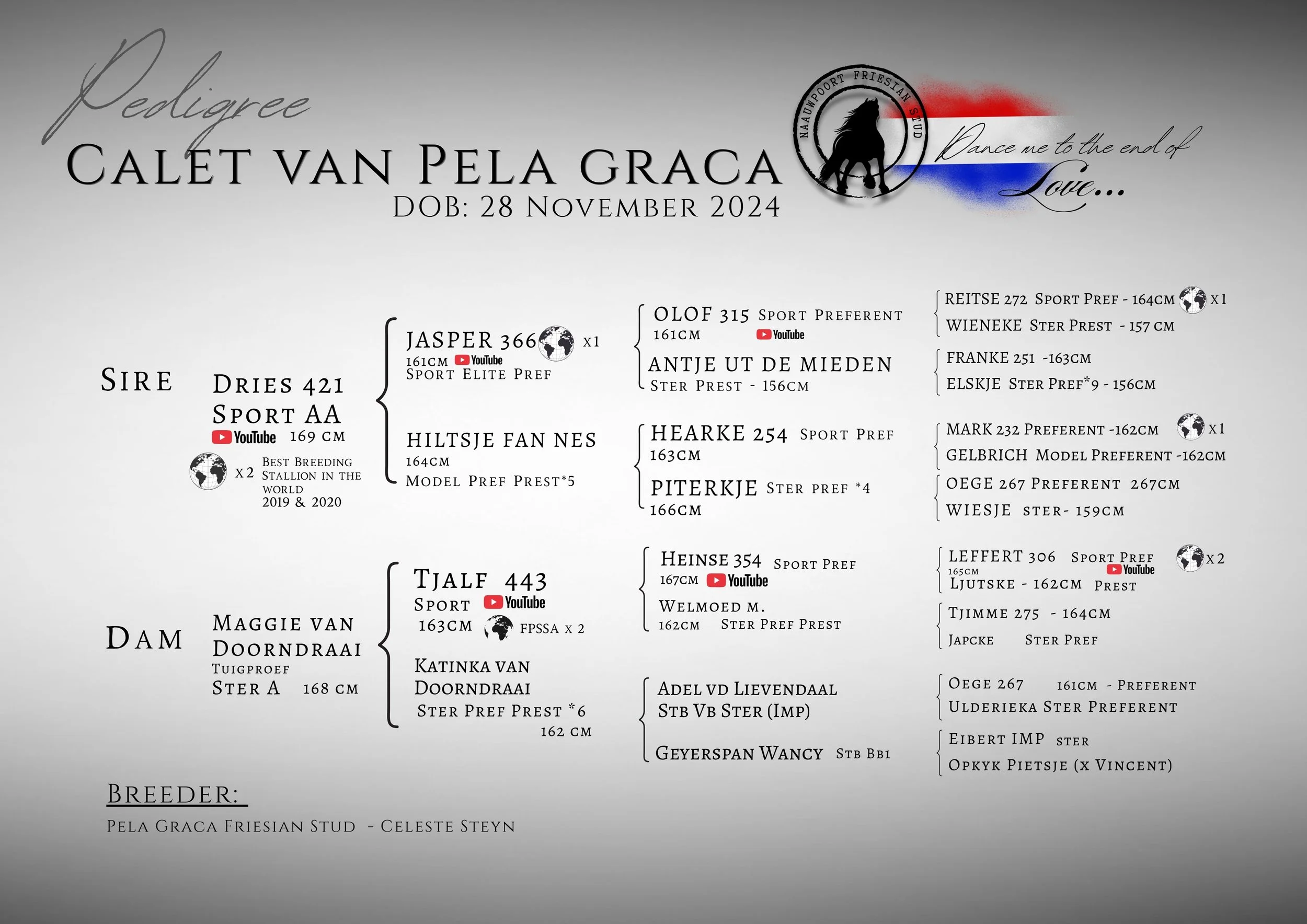 Pedigree Calet Van Pela Graca