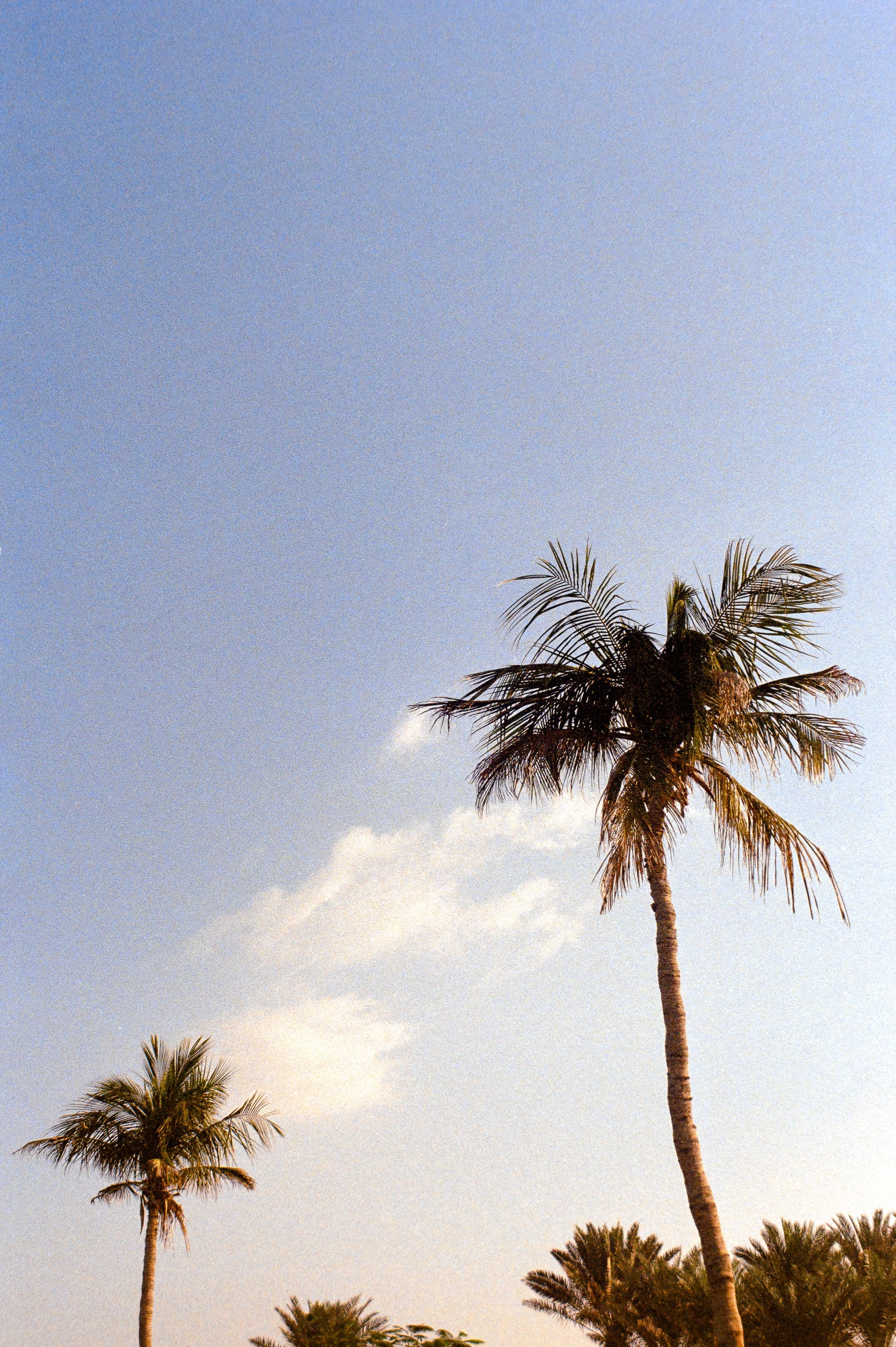 DSC_5474-positive-Edit.jpg