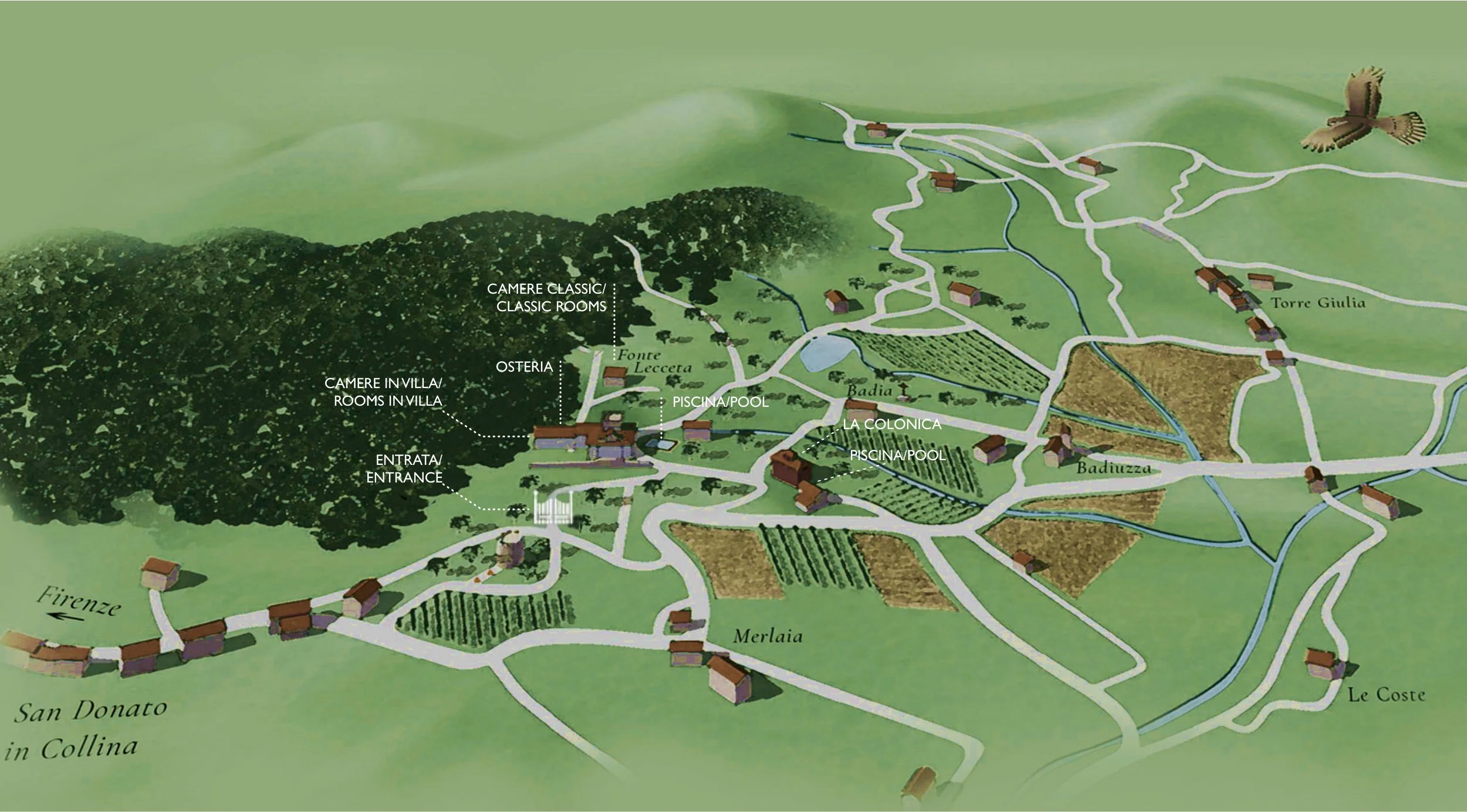 Territoro-torre-a-cona-2025-x.jpg