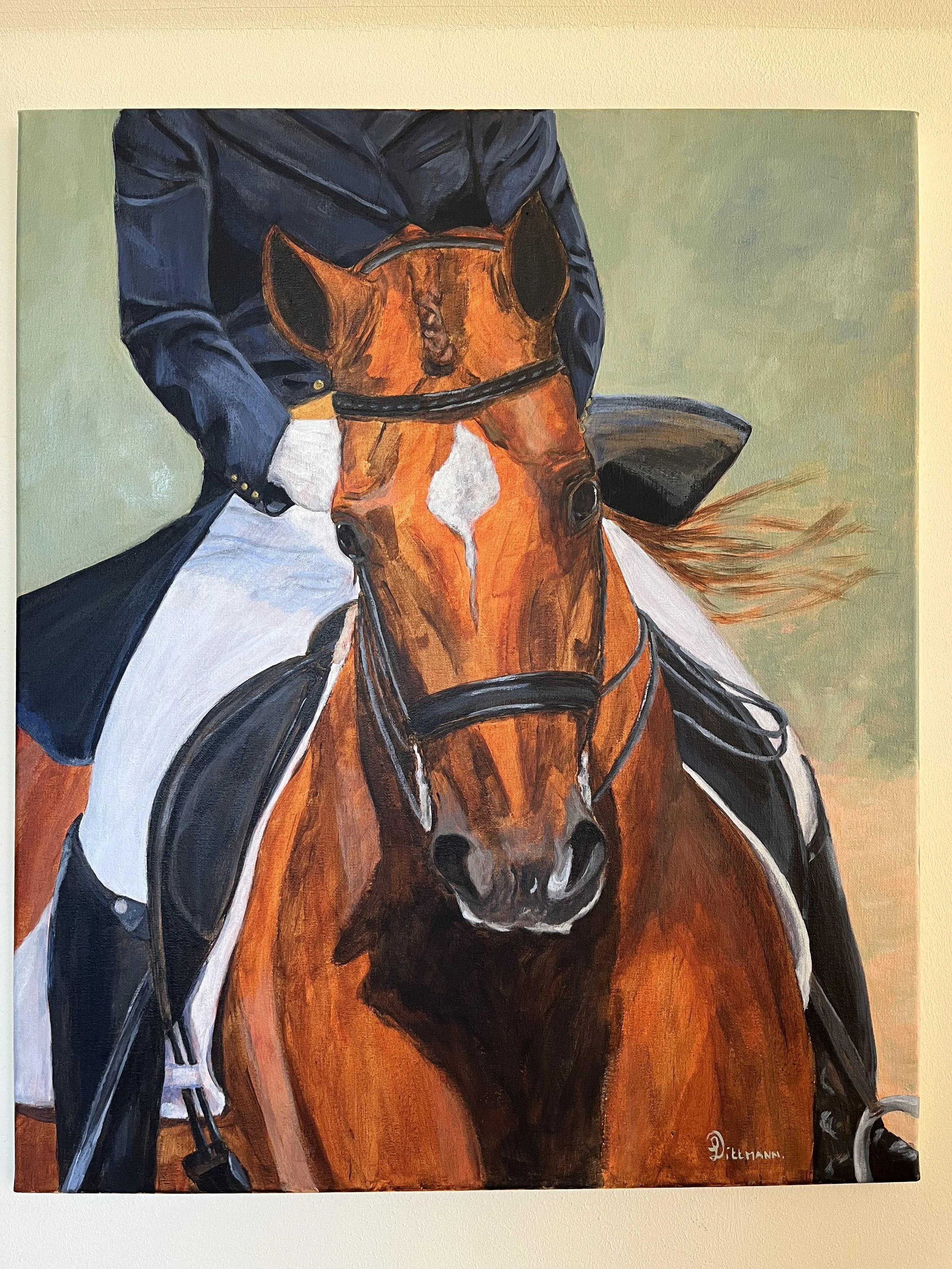 Dressage Horses