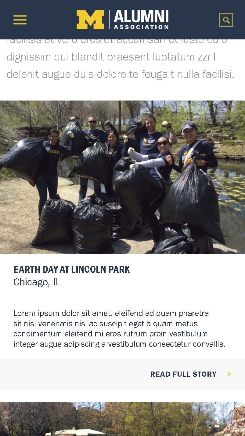 UMich-Alumni-Assoc_Communities_Page_04.jpg