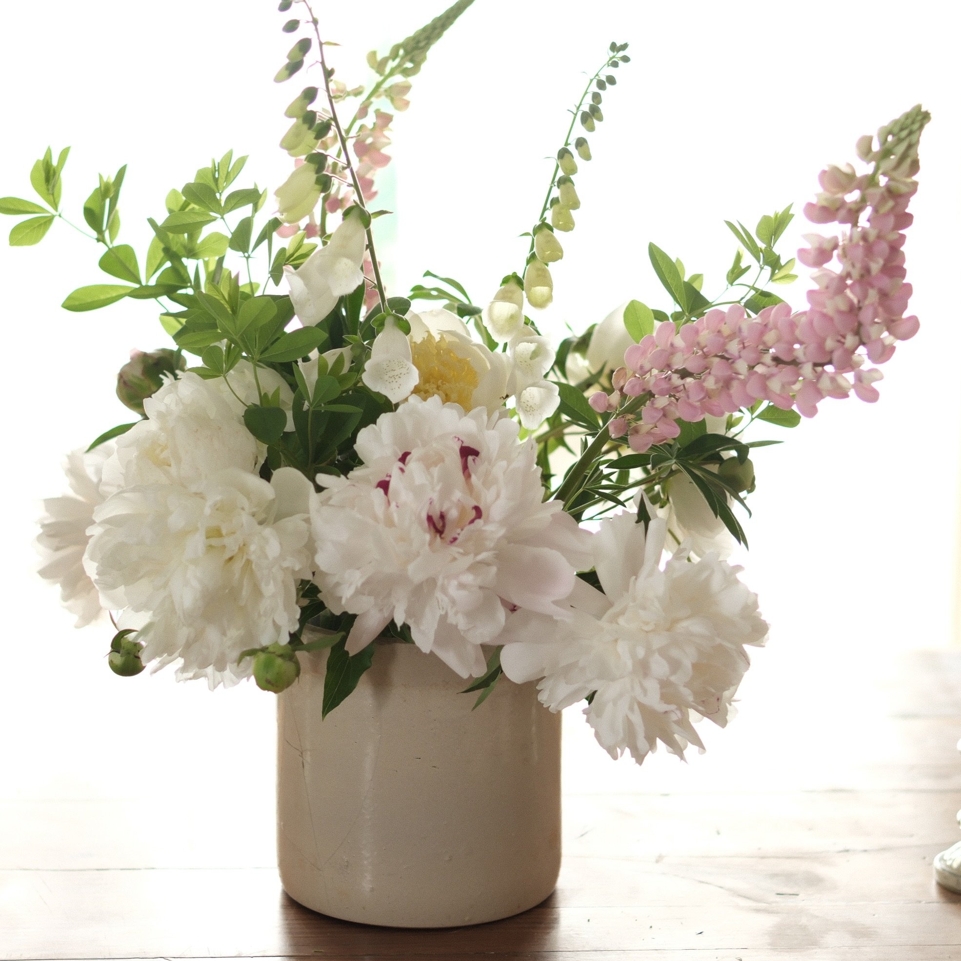 June. 
Peonies
