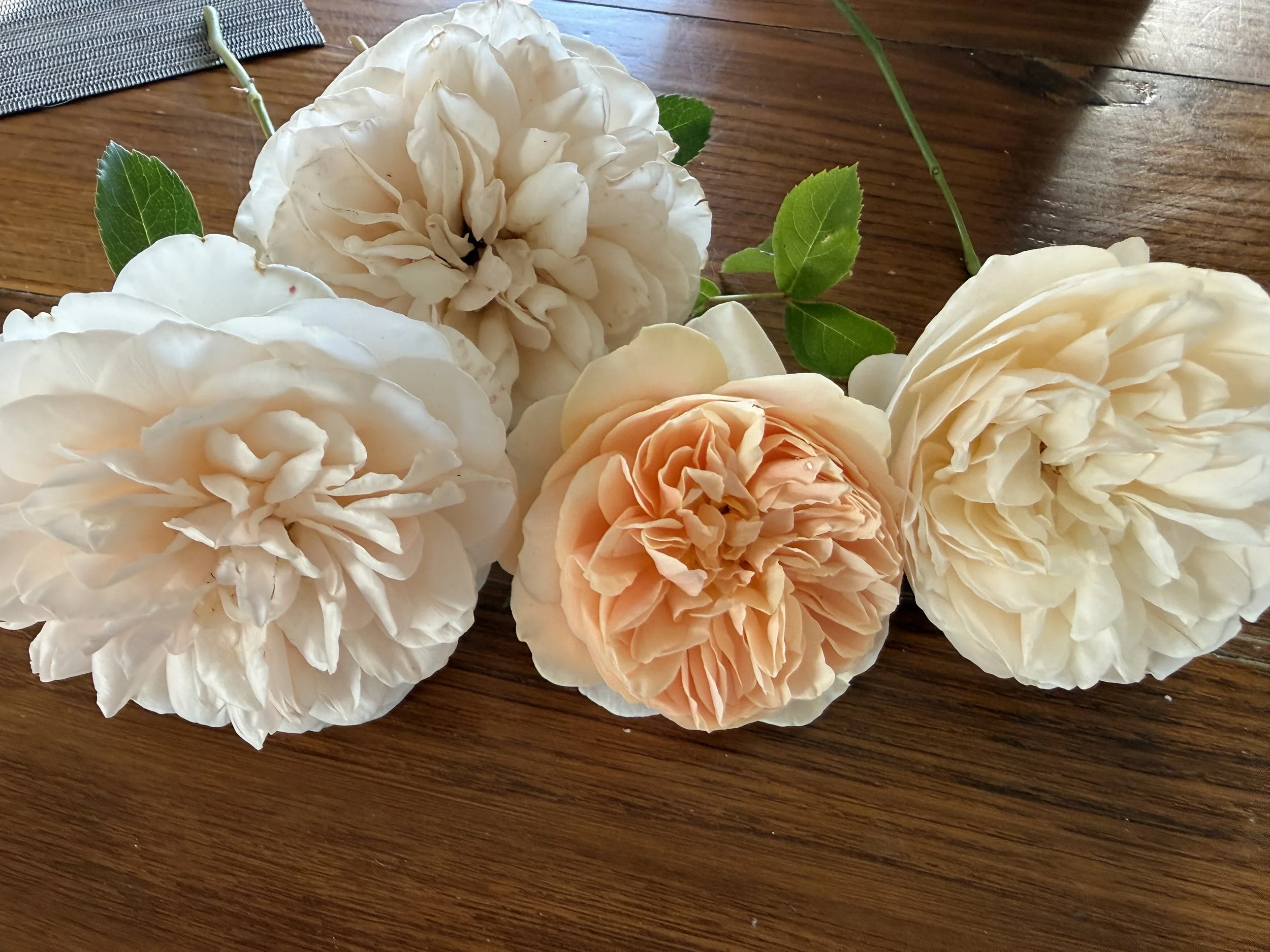 June Blooms 