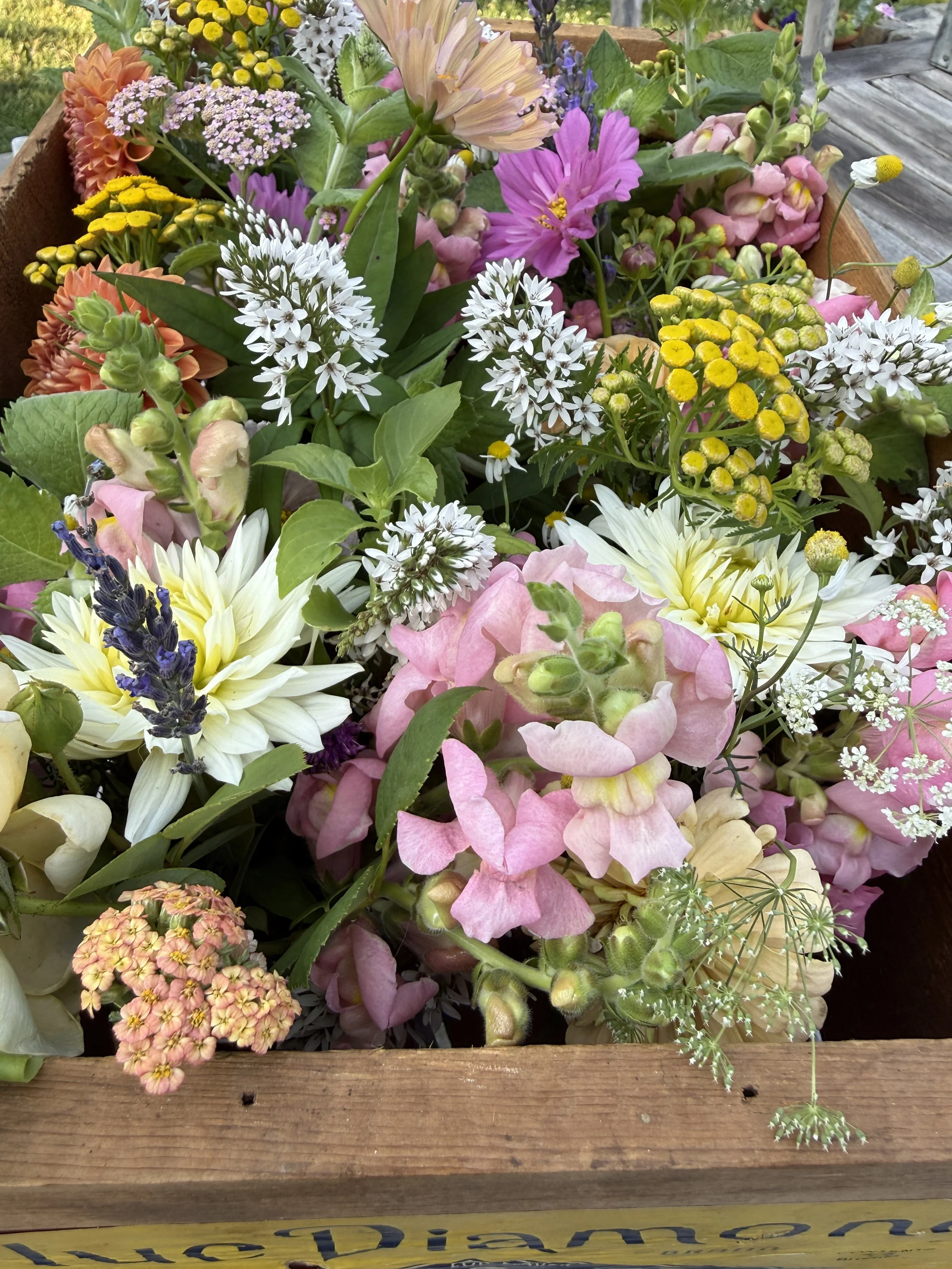 Fresh Flower Mason Jar Bouquets