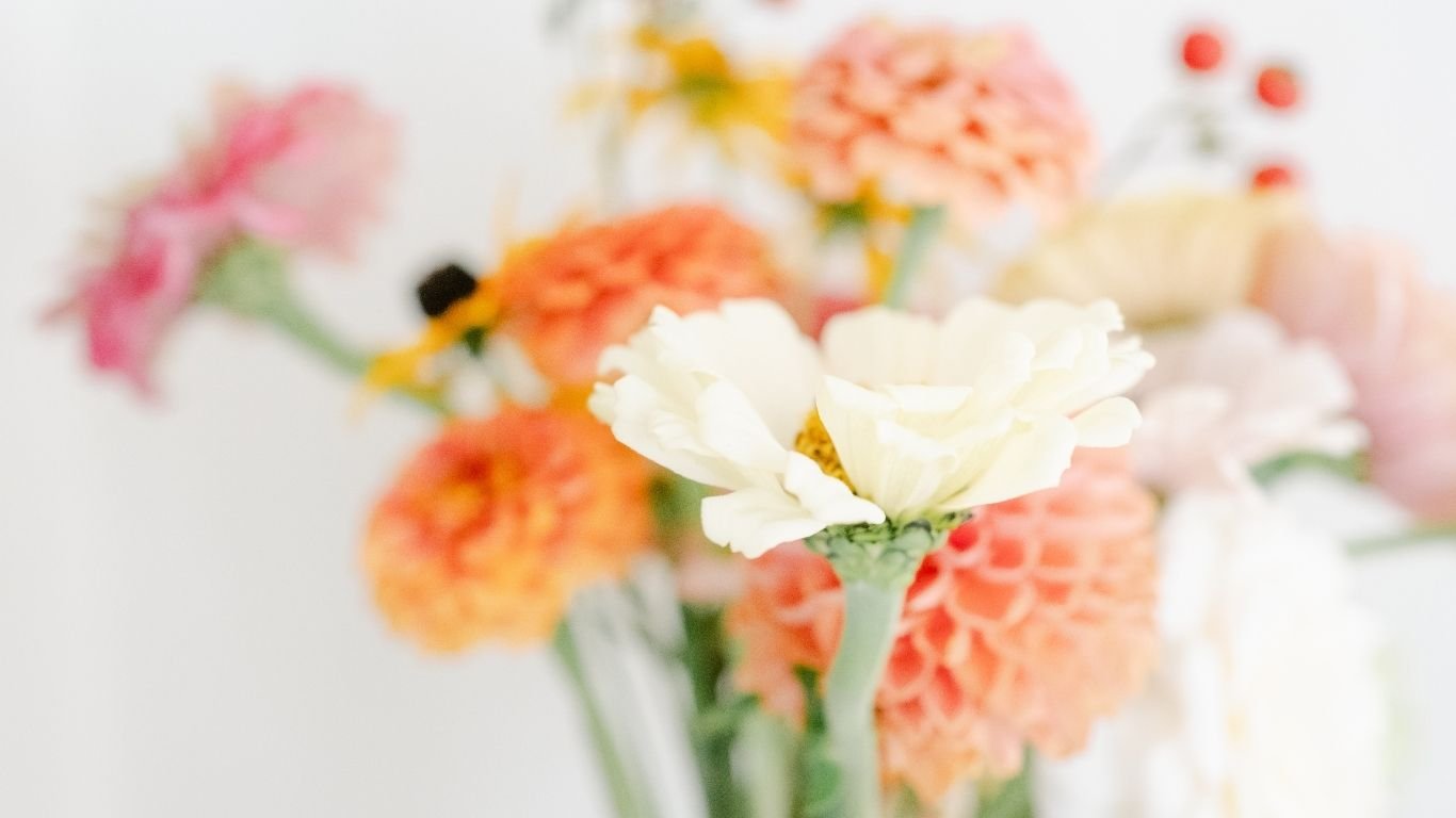 Close-up of mixed color flowers in a blurred bouquet, including white, pink, and orange blooms.
