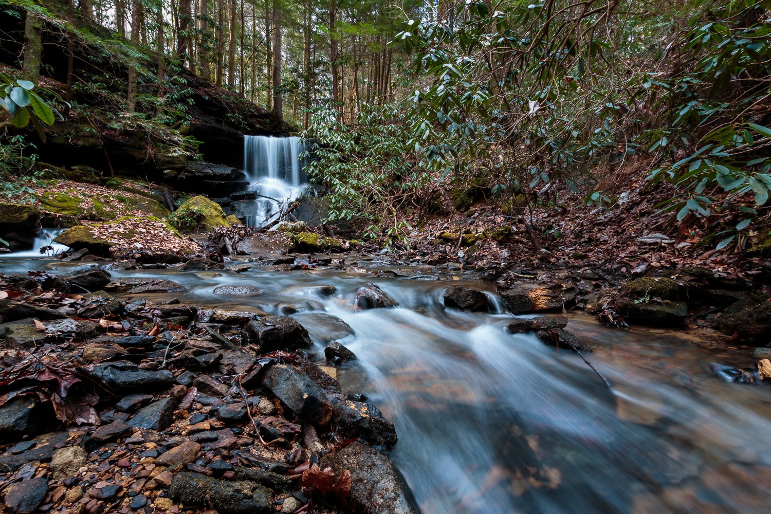 Bolton Branch Falls
