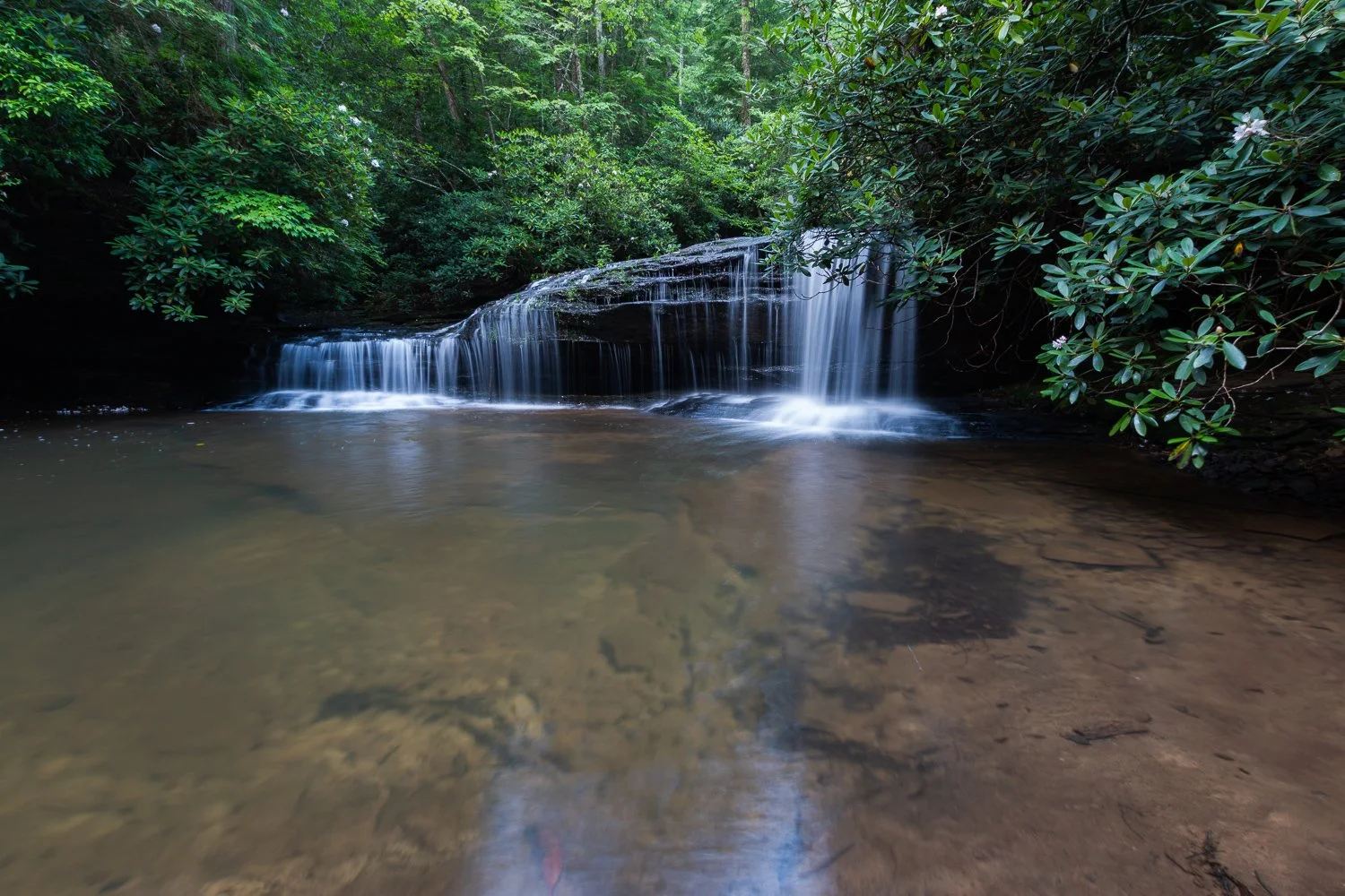Big Dog Branch Falls