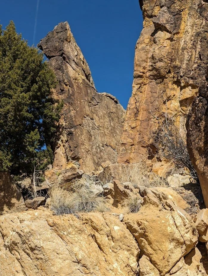 Boulders containing petroglyphs in Picketwire Canyon, Colorado.