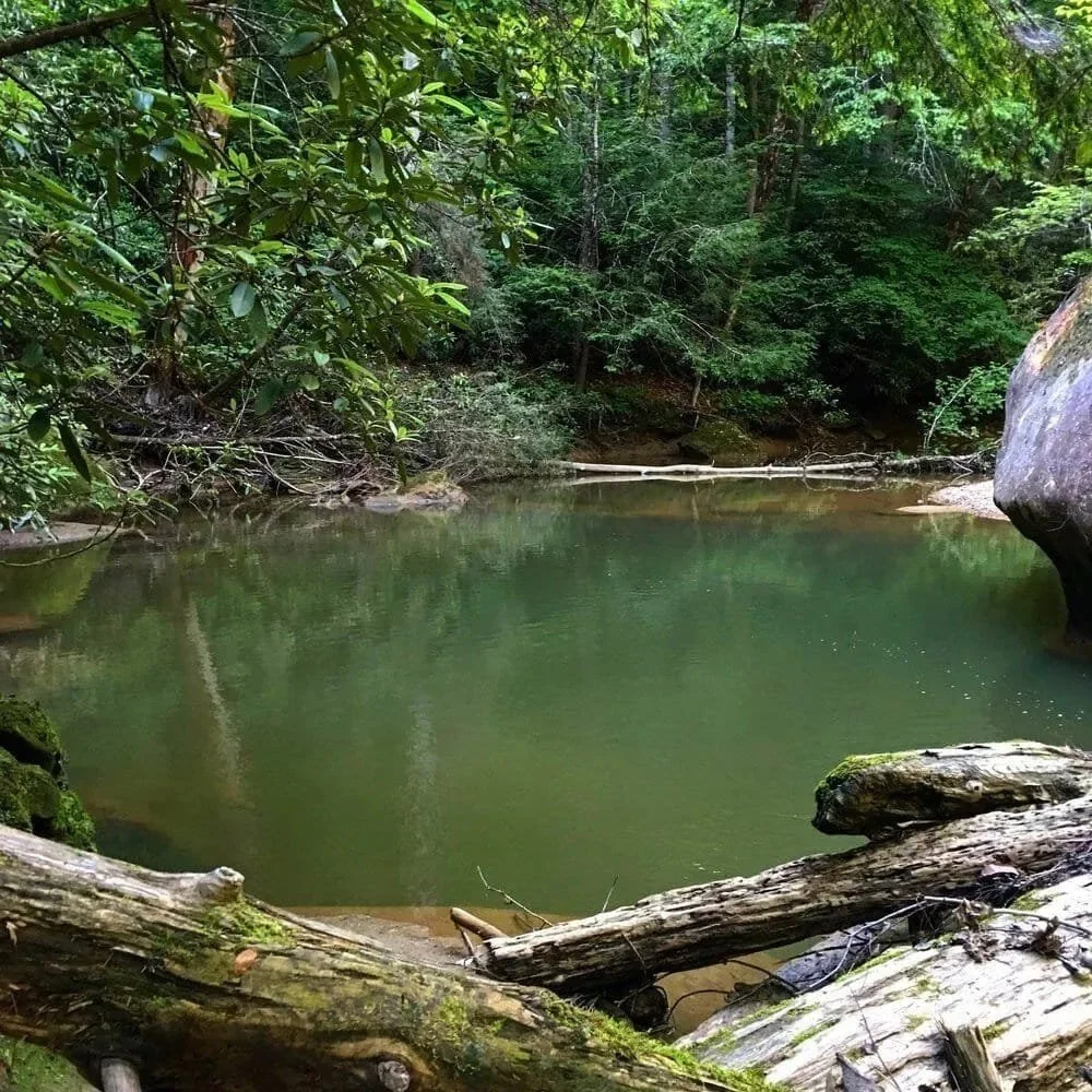 A Solo Overnight Along Swift Camp Creek in a Hammock