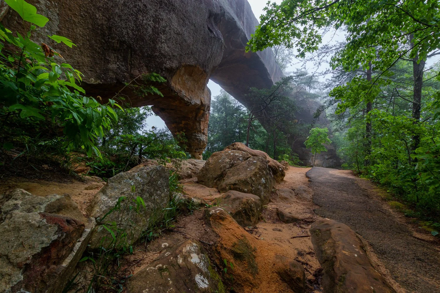 Sky Bridge.