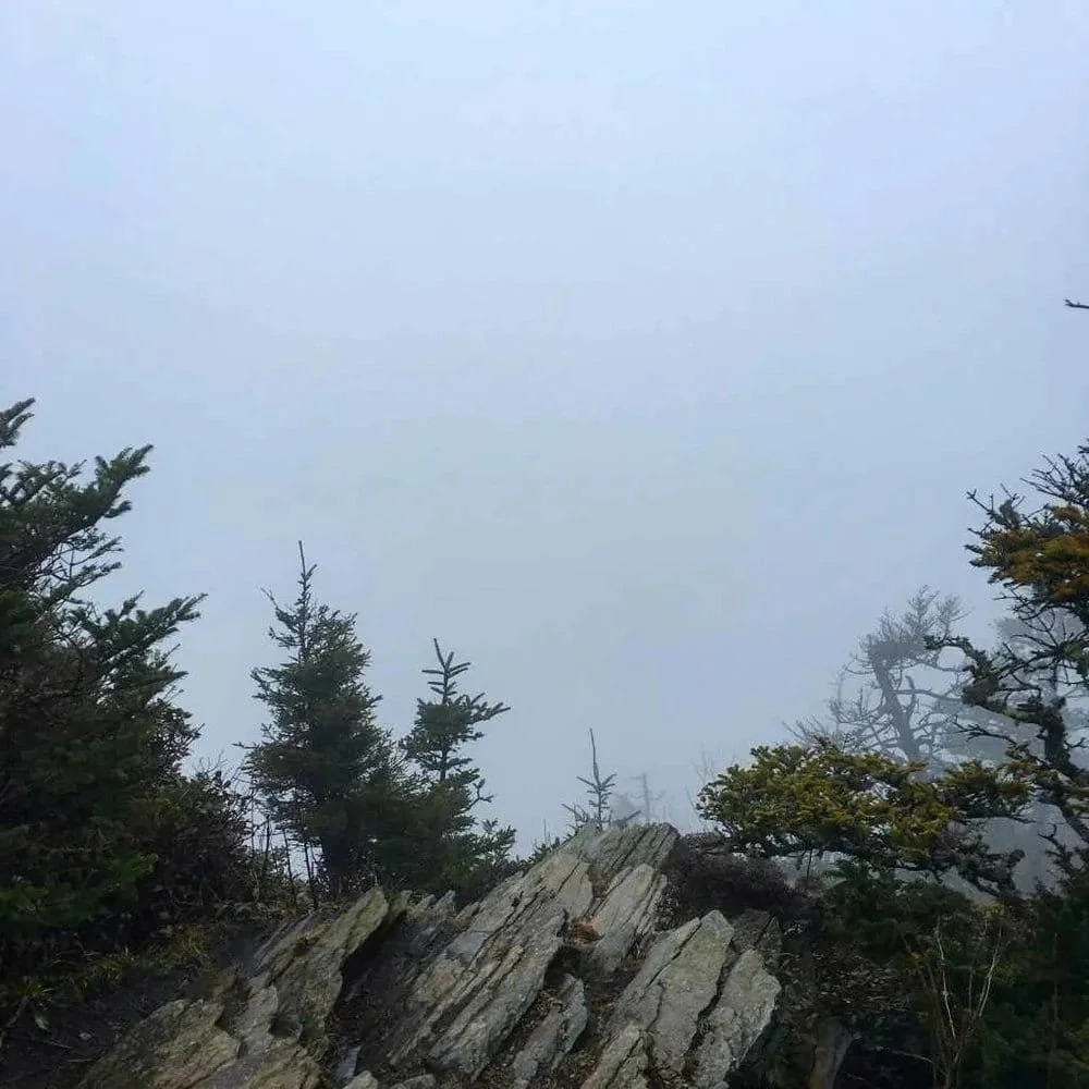 Cliff Tops shrouded in fog.