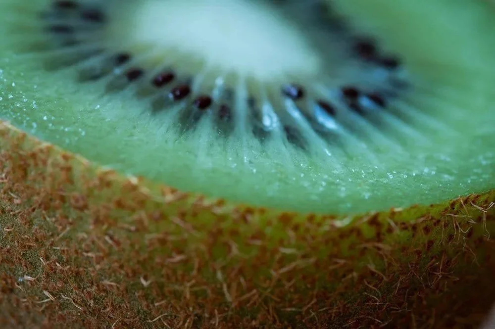 An example of a shallow depth of field.