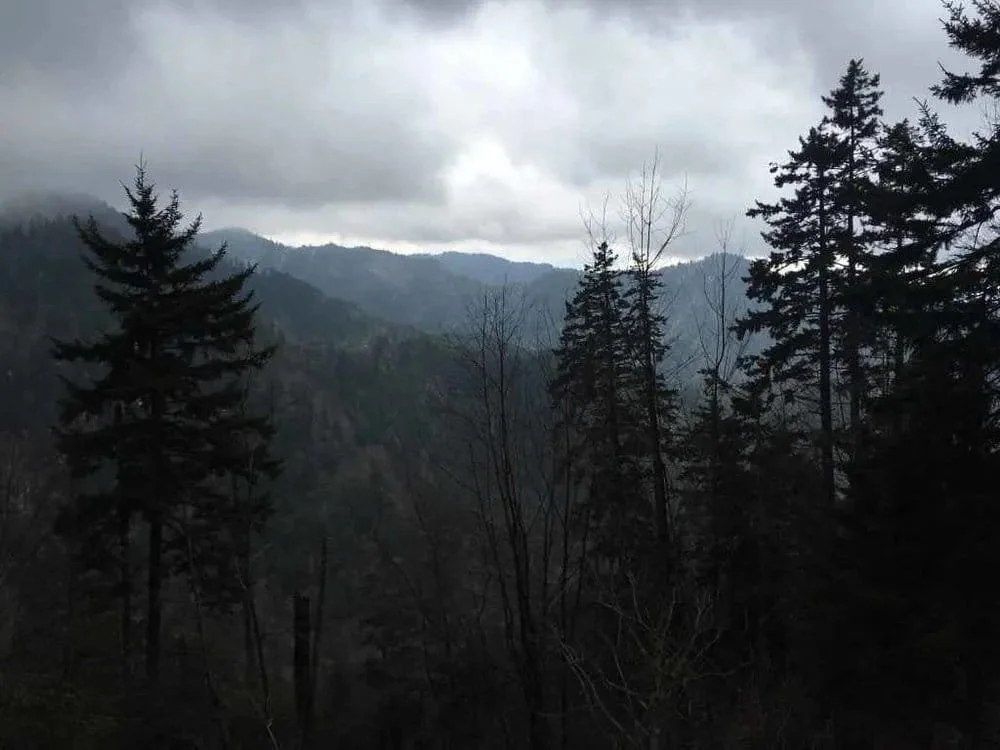 A brief view on the way down from Mt. Leconte.