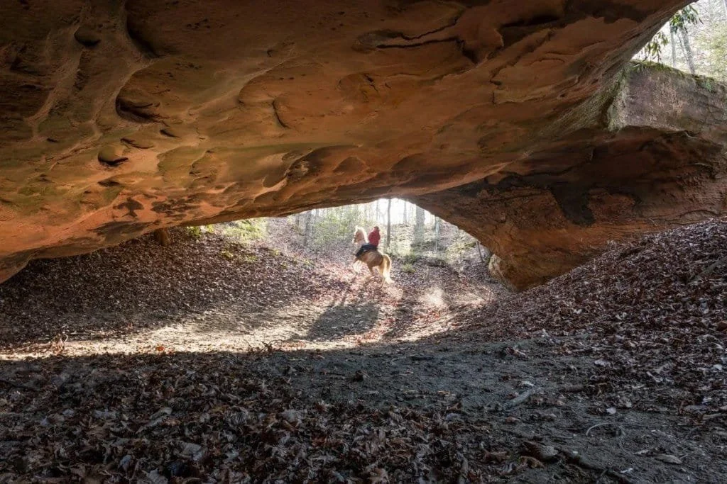 Phalanx Arch - Daniel Boone National Forest, Kentucky