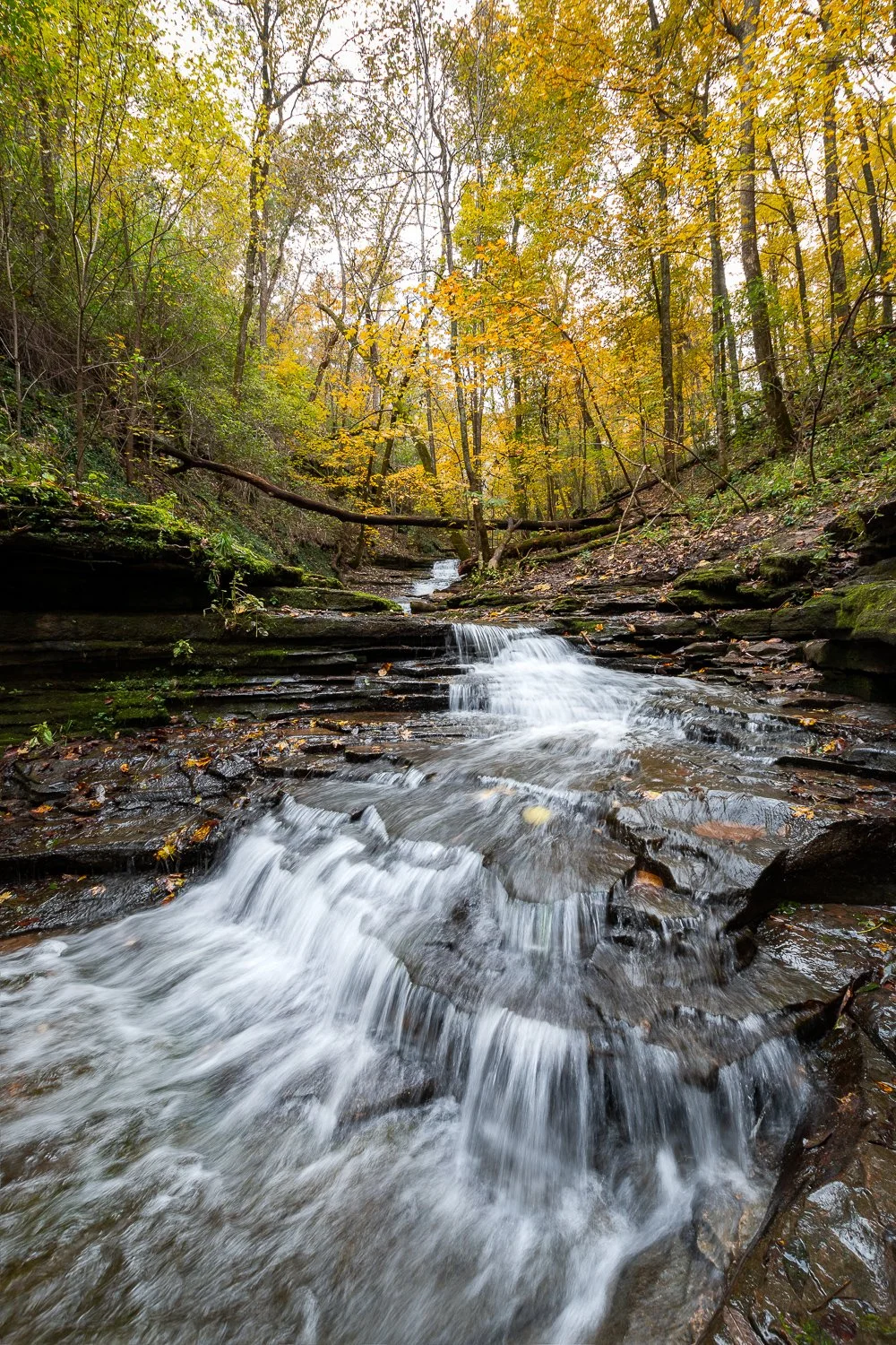 Jessamine County Waterfall 1