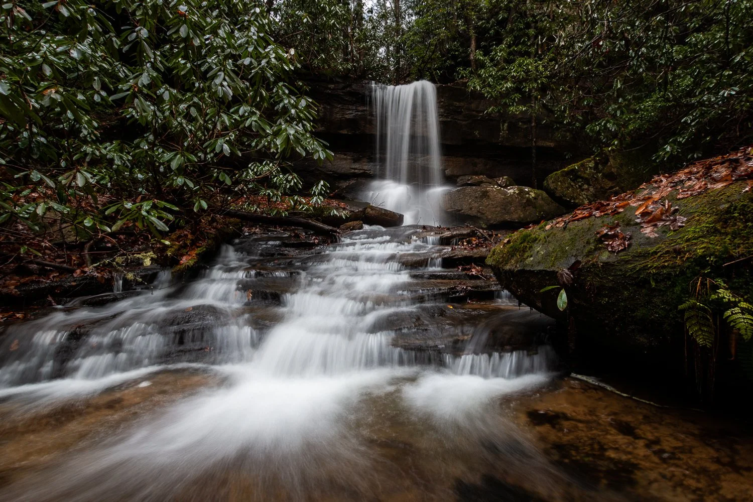 Artery Falls
