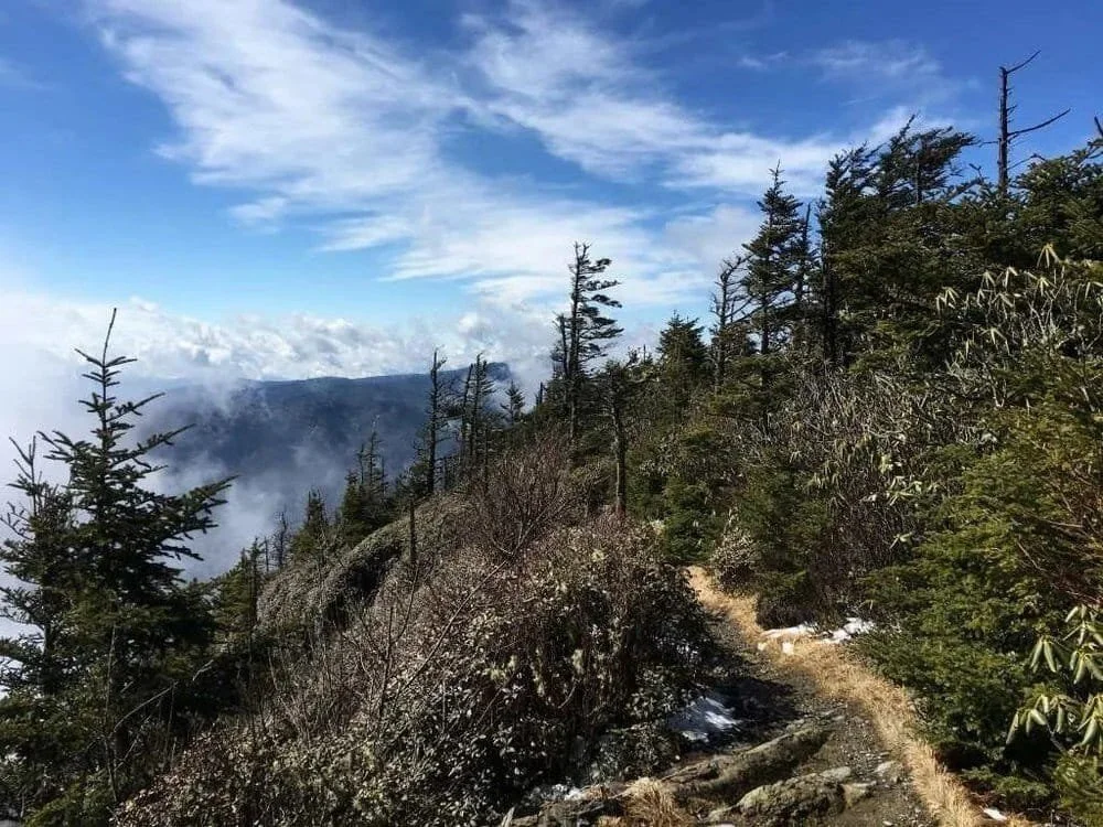 The view from the trail on top of Mt. Leconte in the Smokies.