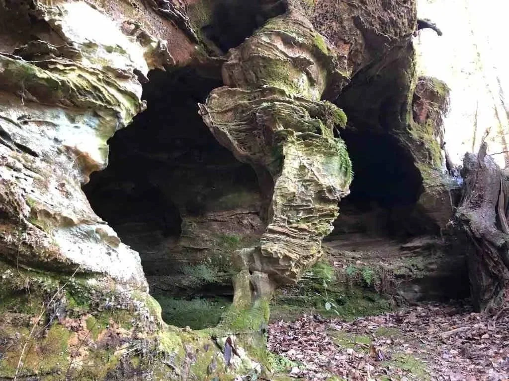 iPhone shot of Talon Arch, Mammoth Cave National Park, Kentucky.