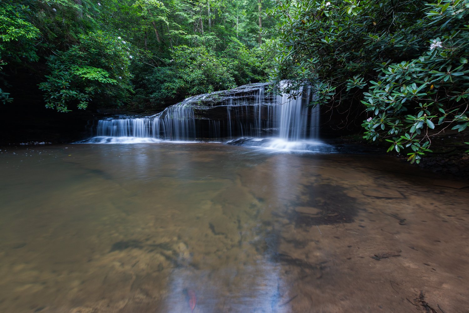 Big Dog Branch Falls, Daniel Boone National Forest, Kentucky.