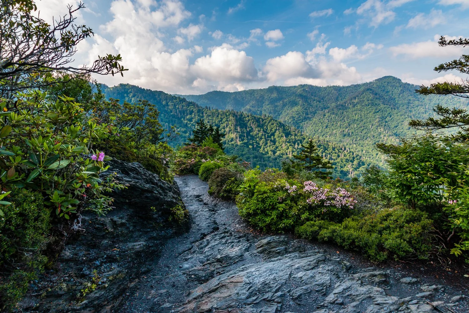 The view from Inspiration Point - Great Smoky Mountains, Tennessee