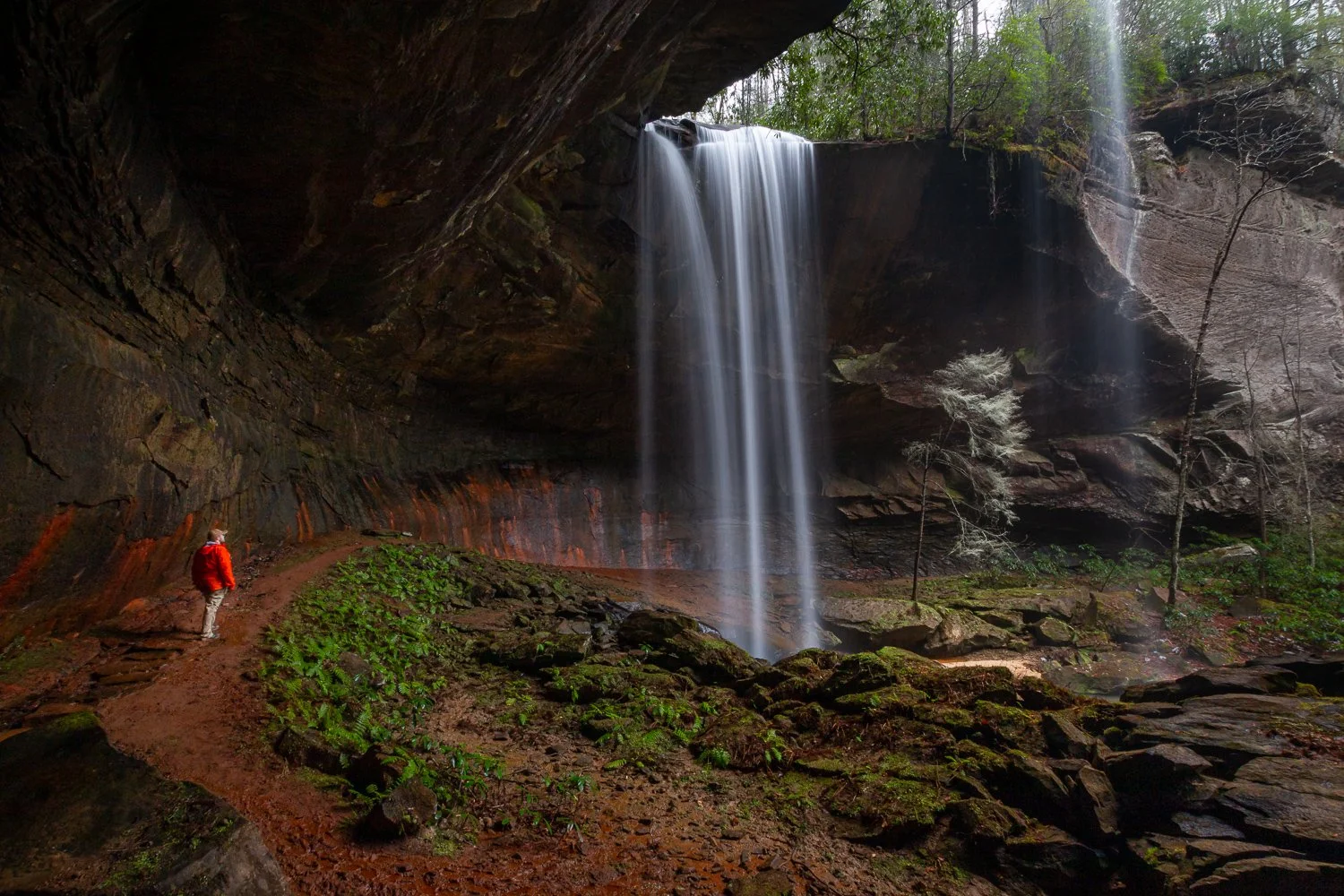 Admiring Lick Creek Falls