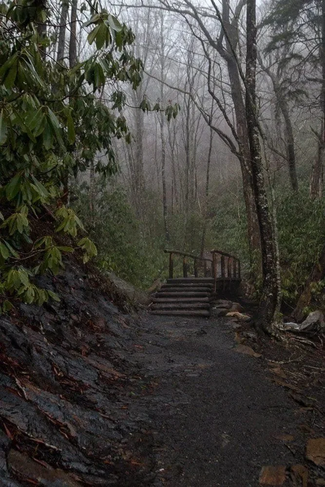 A bridge along the Mt. Leconte Hike in the Great Smoky Mountains.