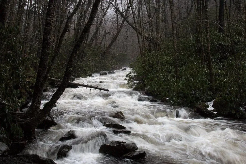 An example of how swollen the streams in the Smokies were due to all of the rain.